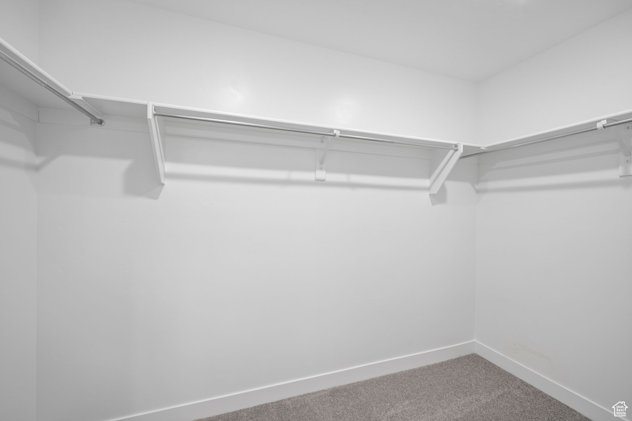 Walk in closet with carpet flooring