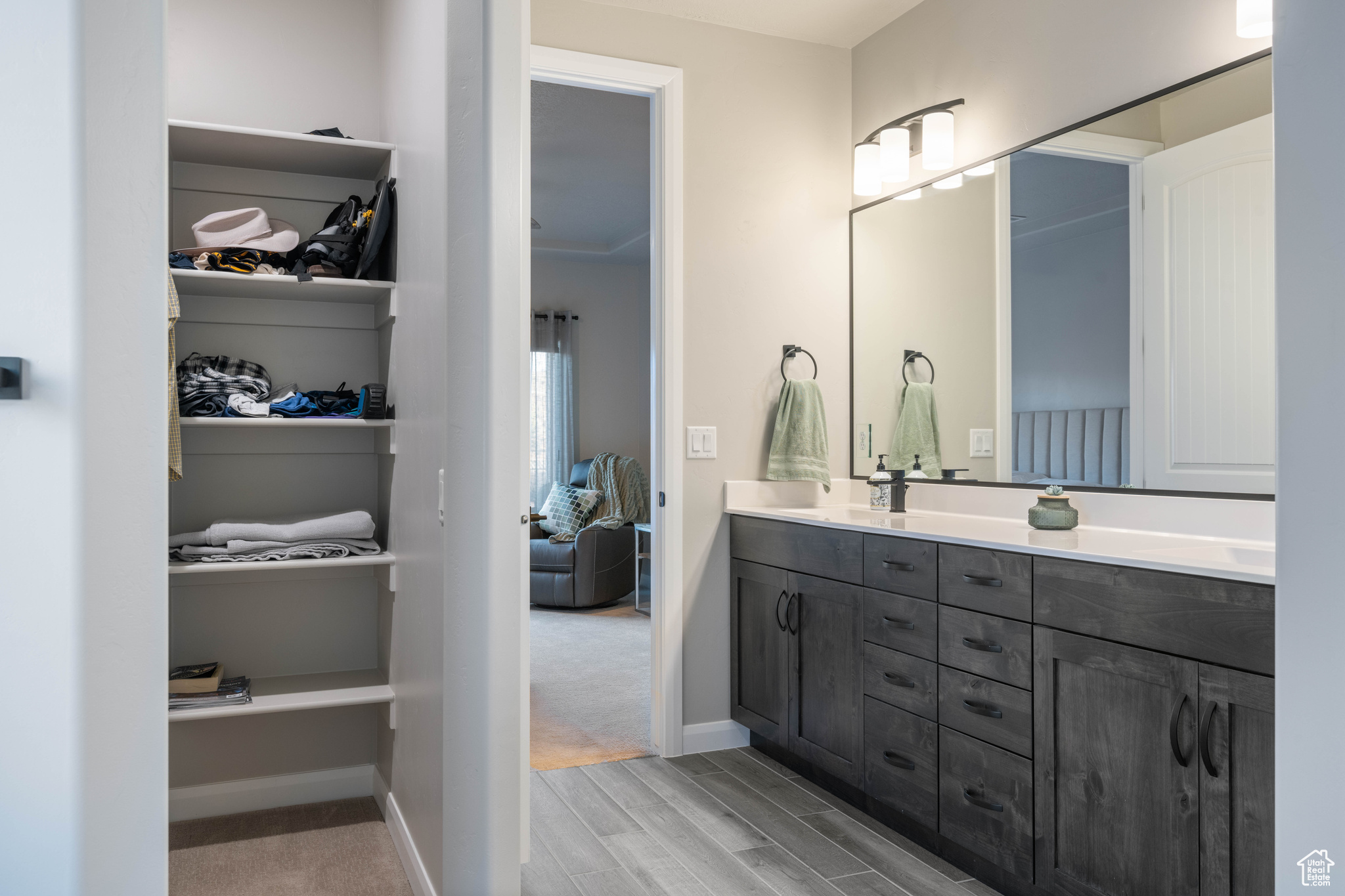 Bathroom with wood-type flooring and vanity