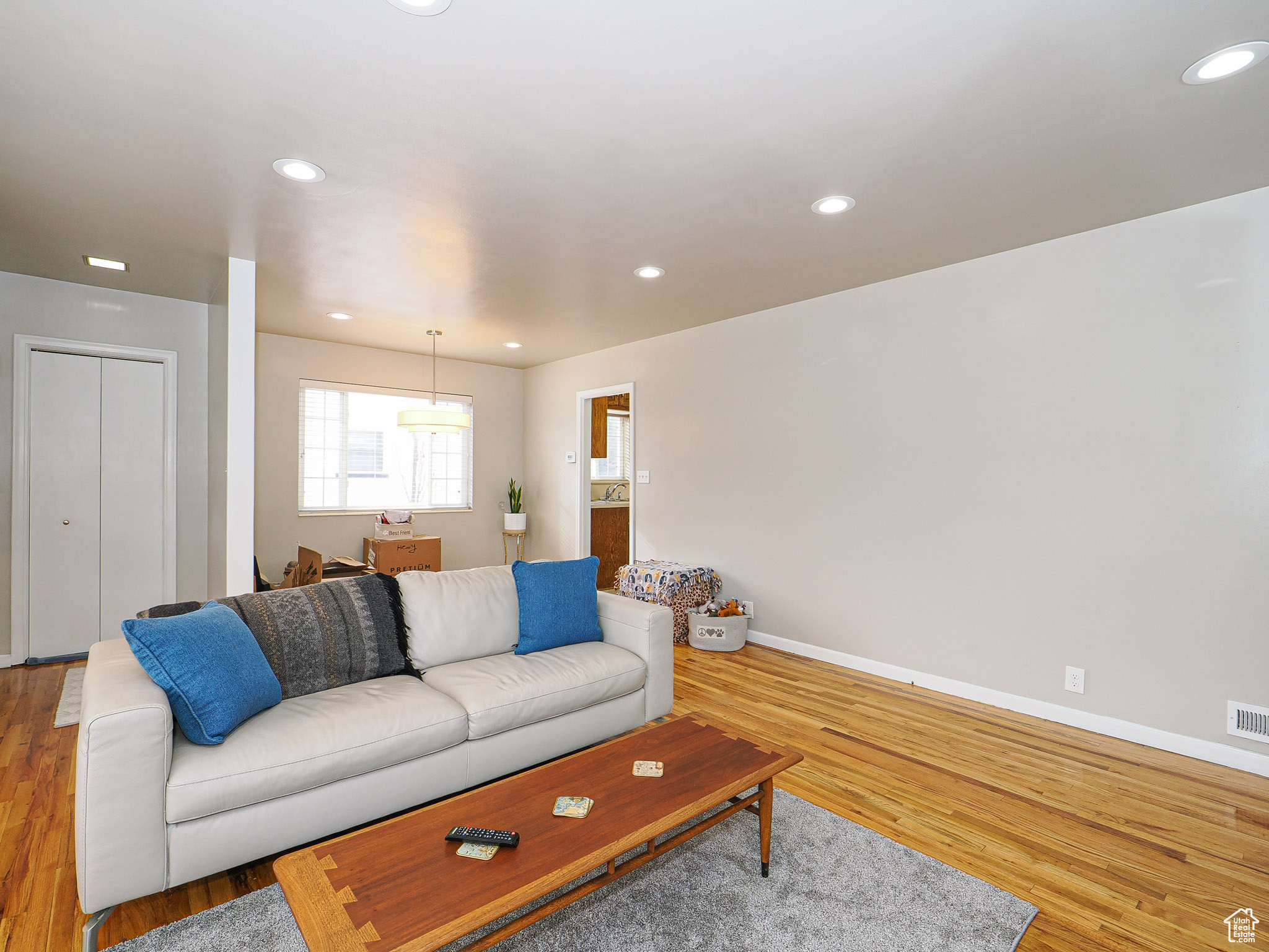 Living room featuring wood-type flooring