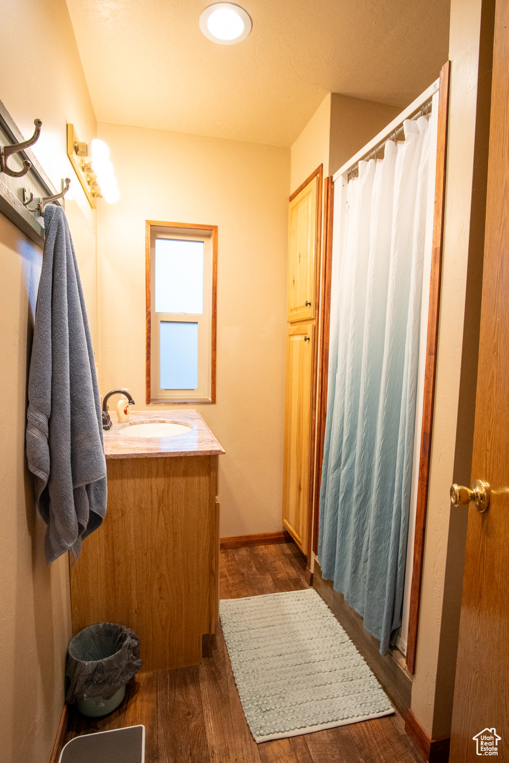 Bathroom featuring vanity and wood-type flooring