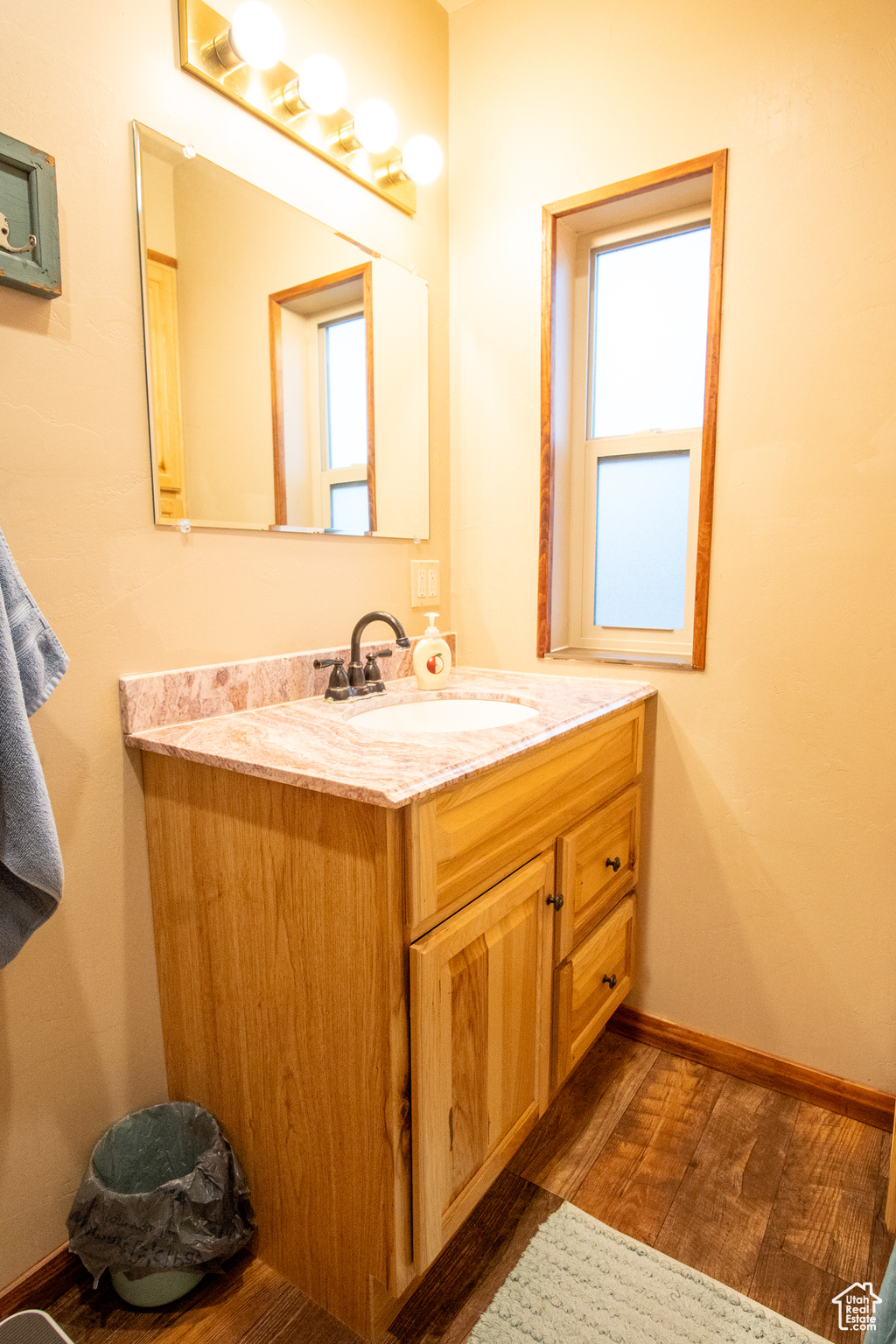 Bathroom featuring vanity, plenty of natural light, and hardwood / wood-style floors