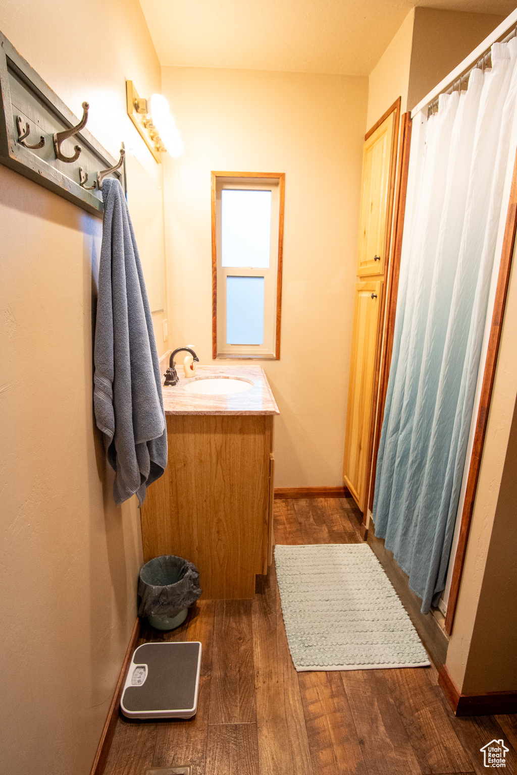 Bathroom with vanity and wood-type flooring