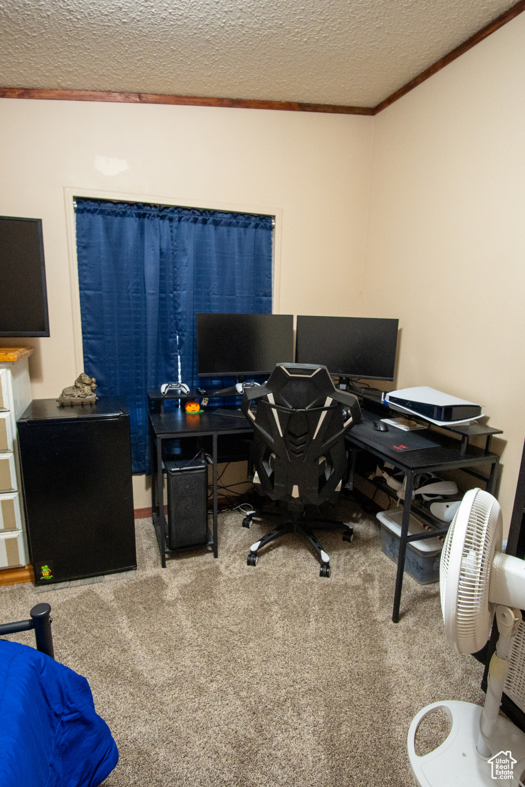 Home office with crown molding, carpet floors, and a textured ceiling