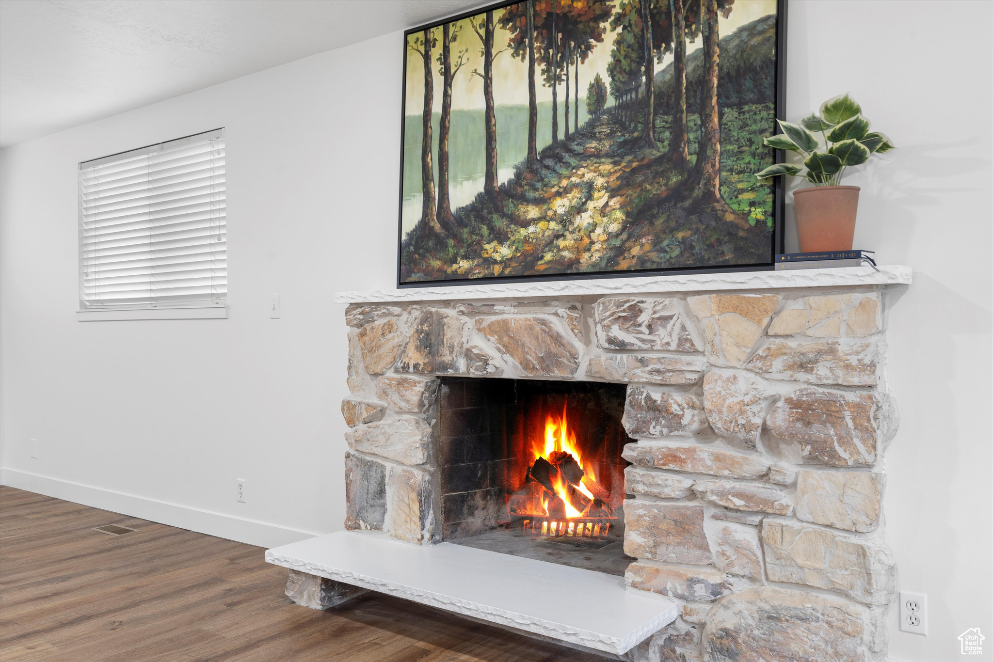 Interior details featuring hardwood / wood-style flooring and a fireplace