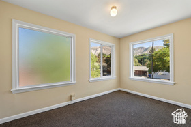 Carpeted spare room with a wealth of natural light