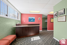 Bar with carpet and a drop ceiling