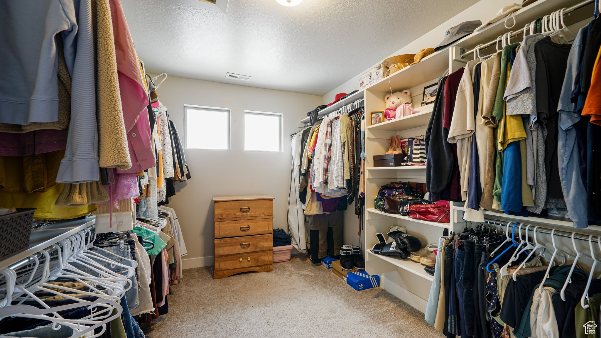 Primary Bedroom walk in closet featuring carpet