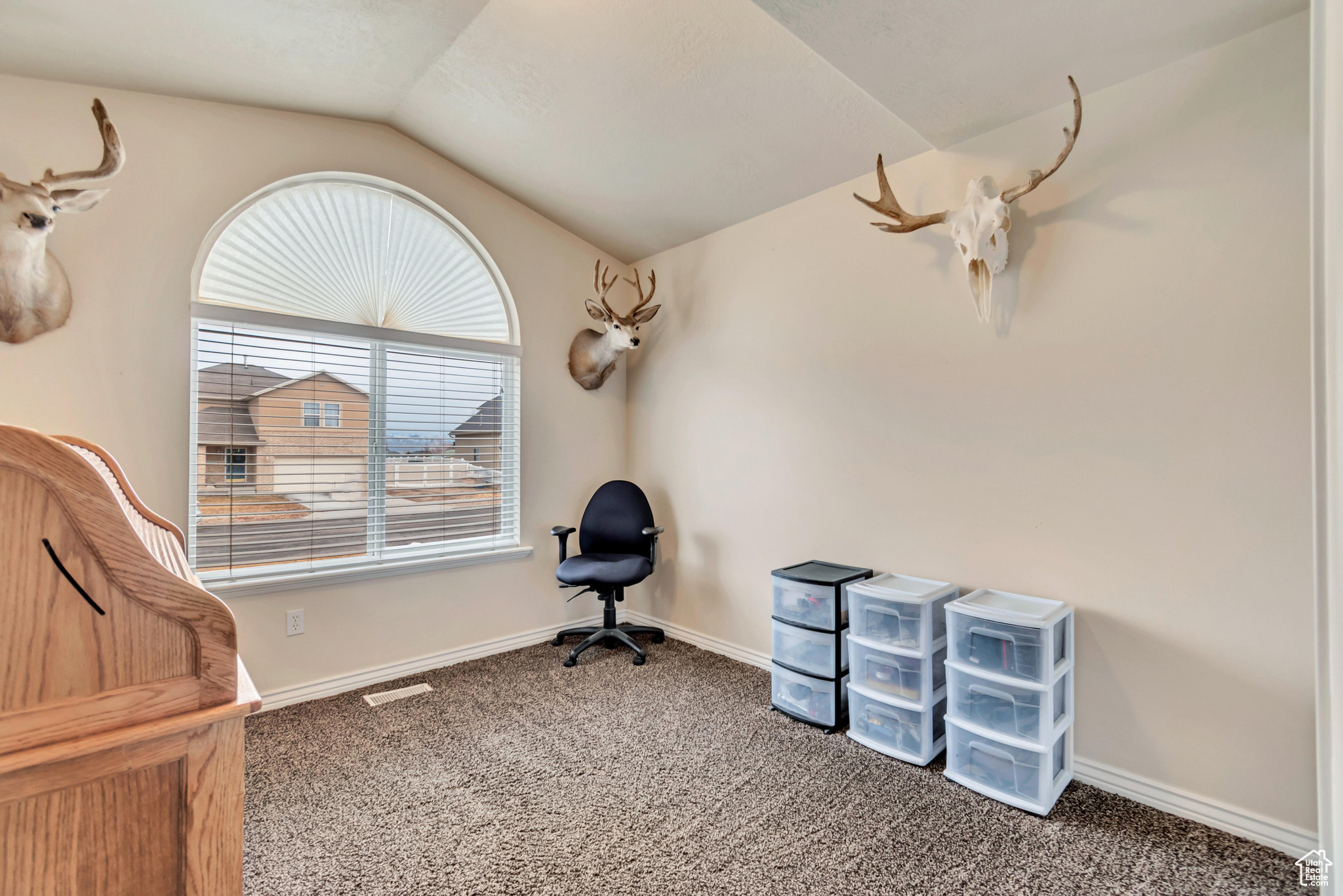 Living area featuring carpet and lofted ceiling