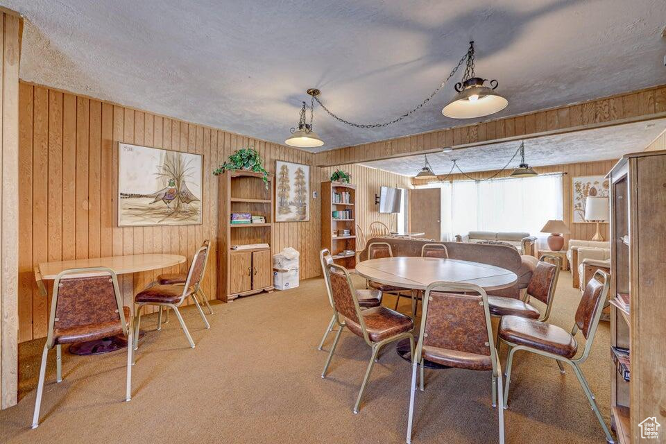 Dining space featuring carpet, a textured ceiling, and wood walls
