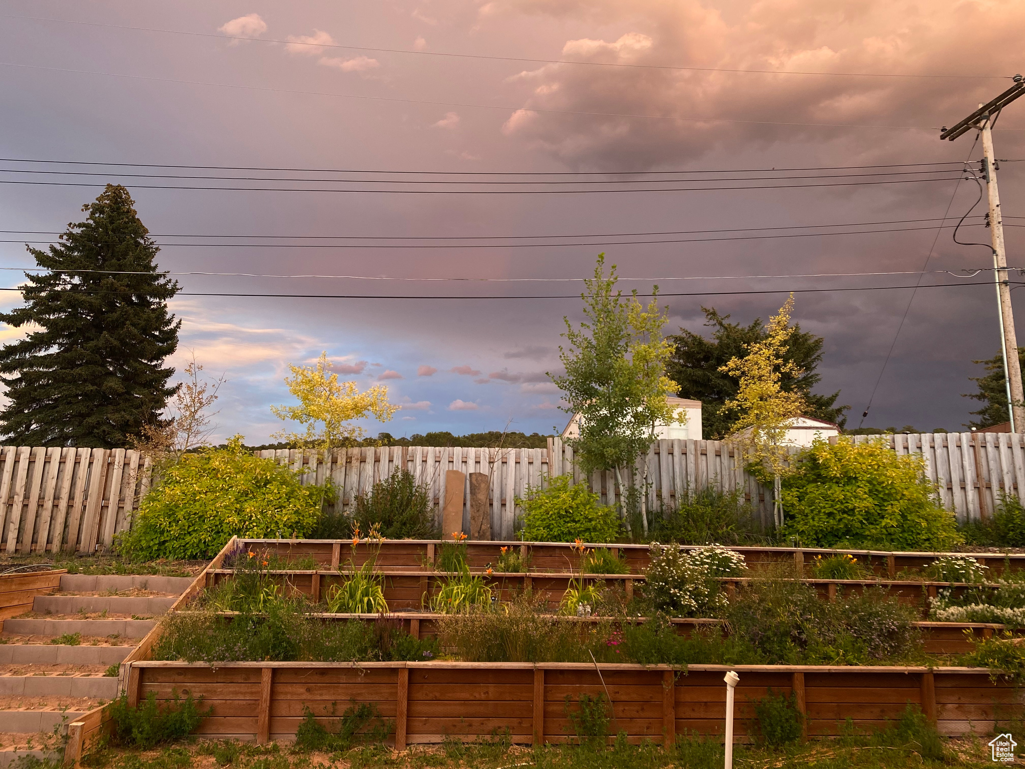 View of yard at dusk