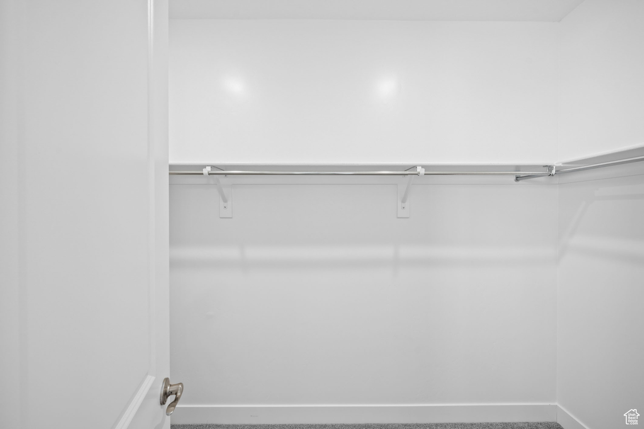 Spacious closet featuring carpet floors