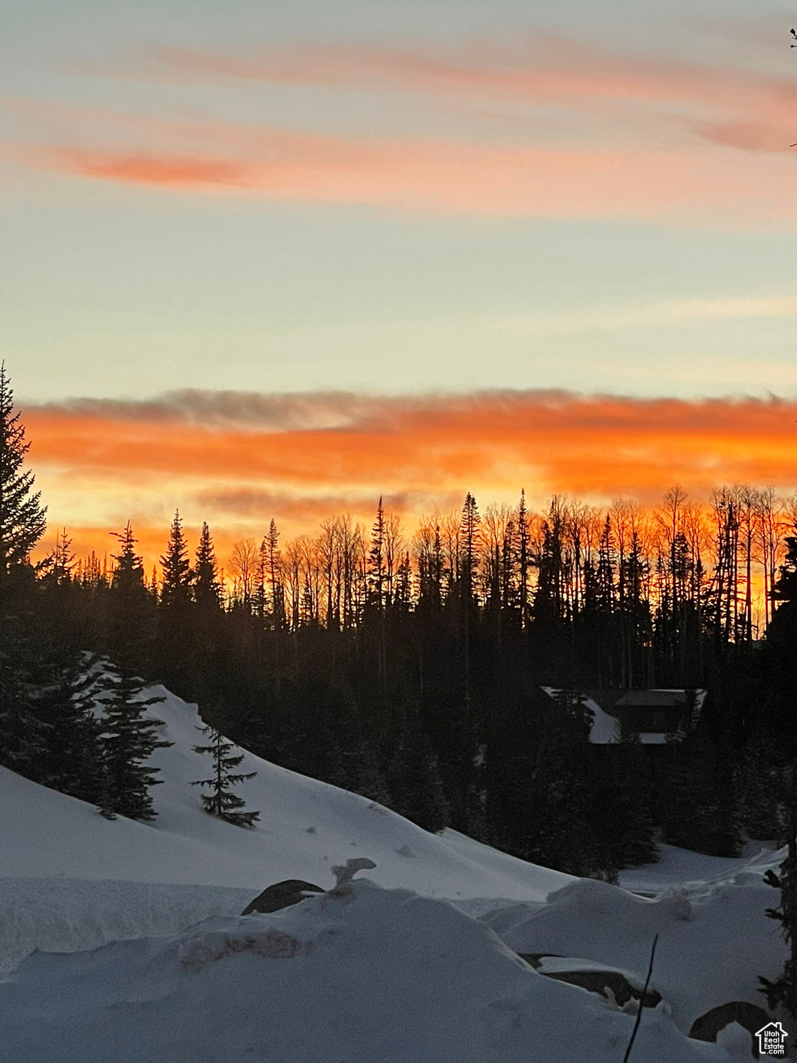 View of snowy landscape