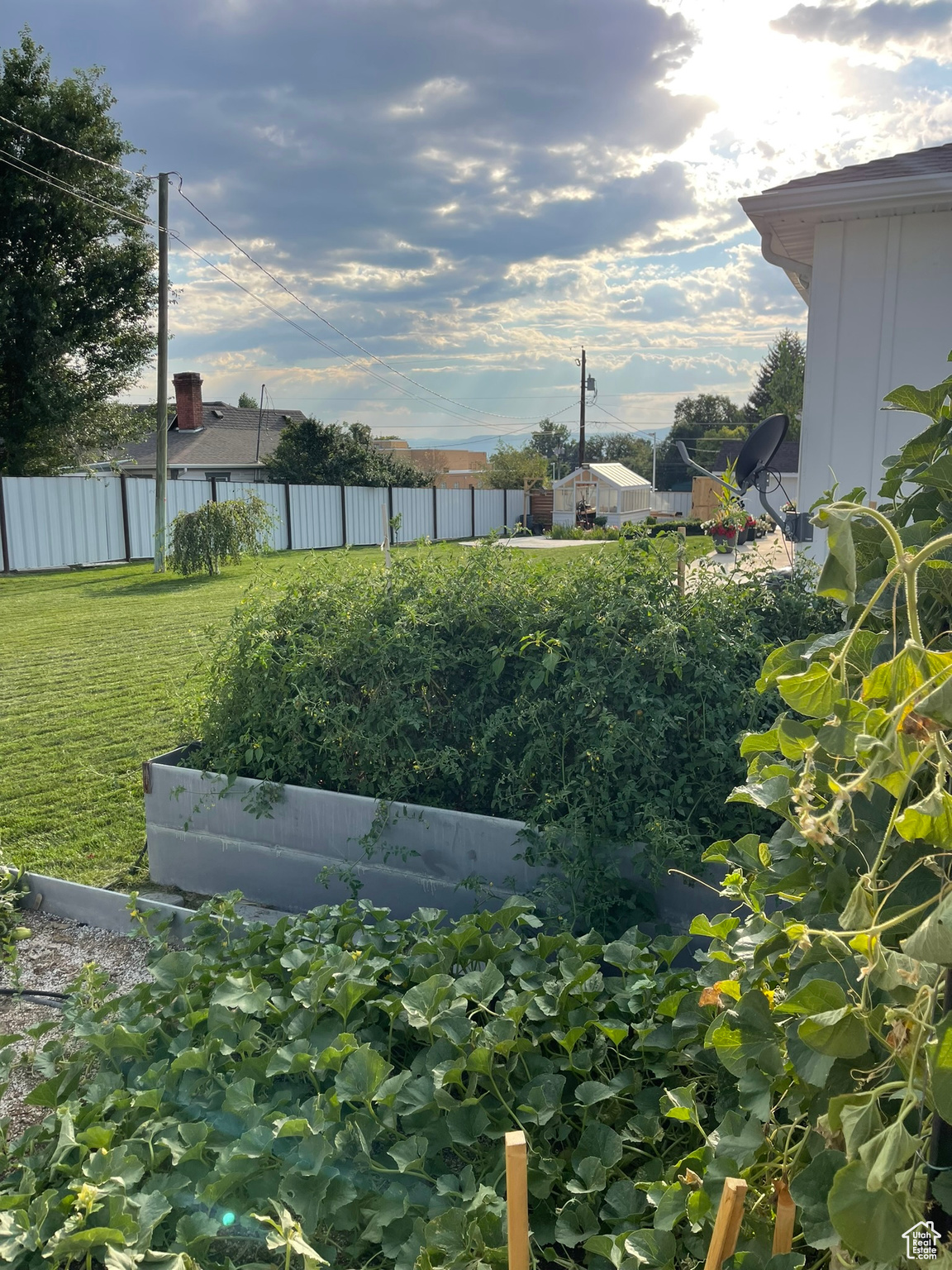 Flourishing Raised Bed Gardens (Summertime)