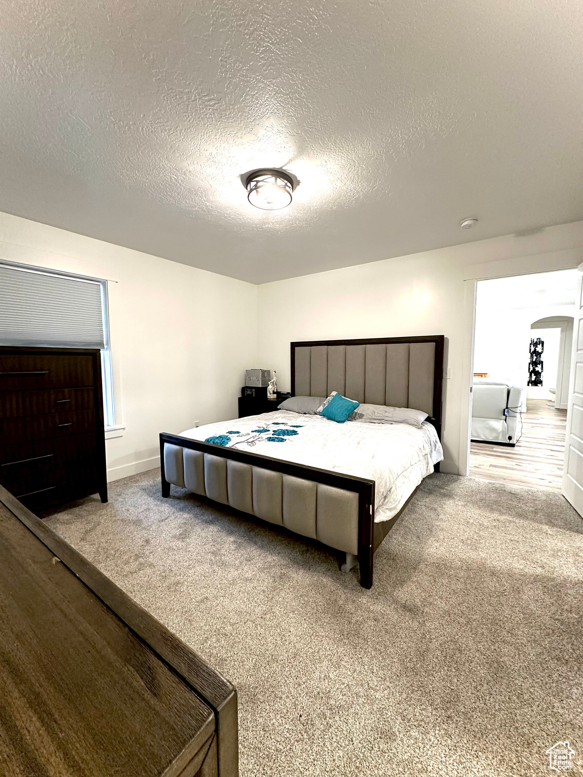Carpeted master bedroom featuring a textured ceiling