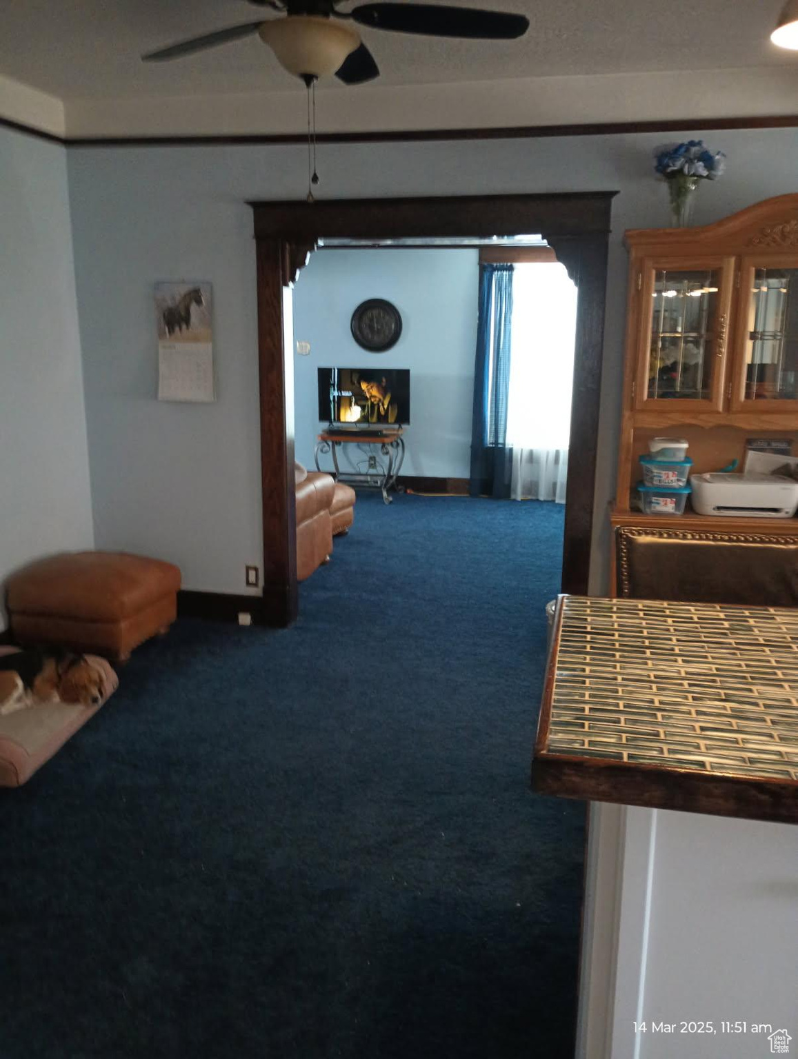 Carpeted living area with baseboards and ceiling fan