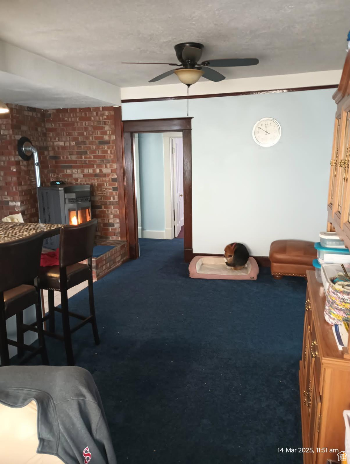 Living room featuring a wood stove, a ceiling fan, dark colored carpet, and a textured ceiling