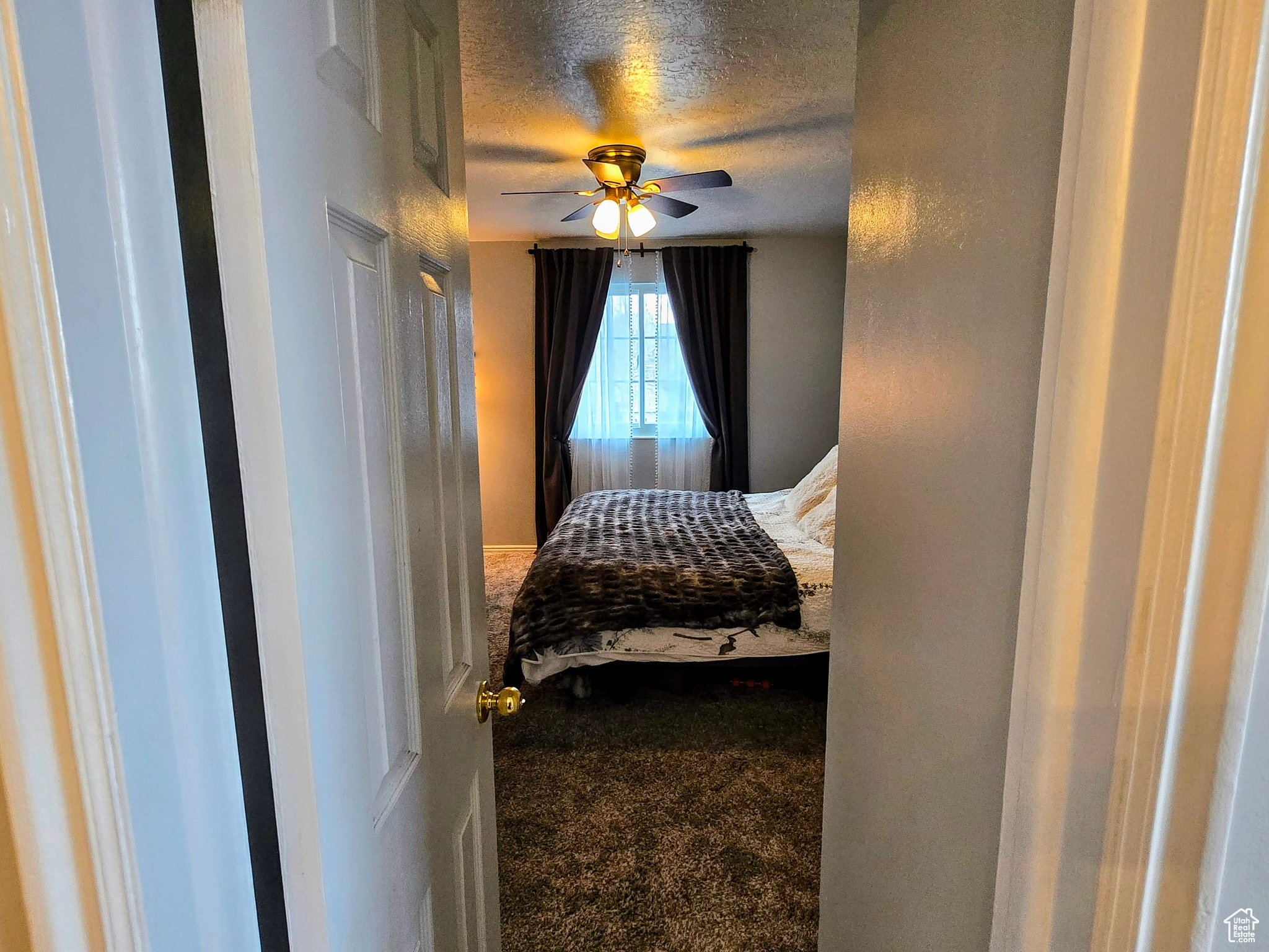 Carpeted bedroom with ceiling fan and a textured ceiling