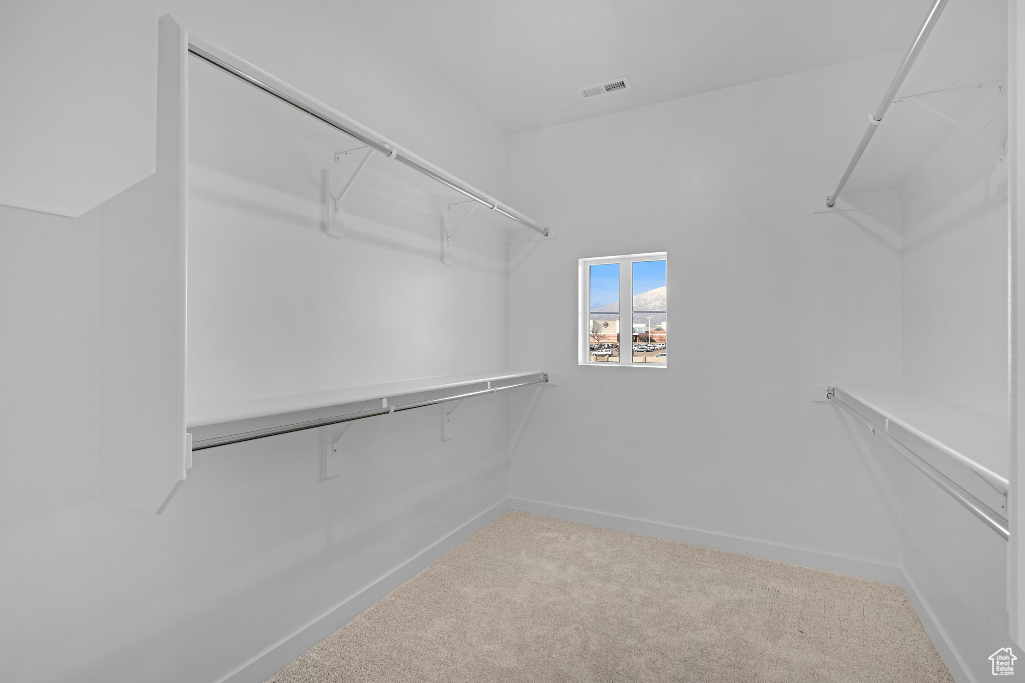 Spacious closet featuring carpet