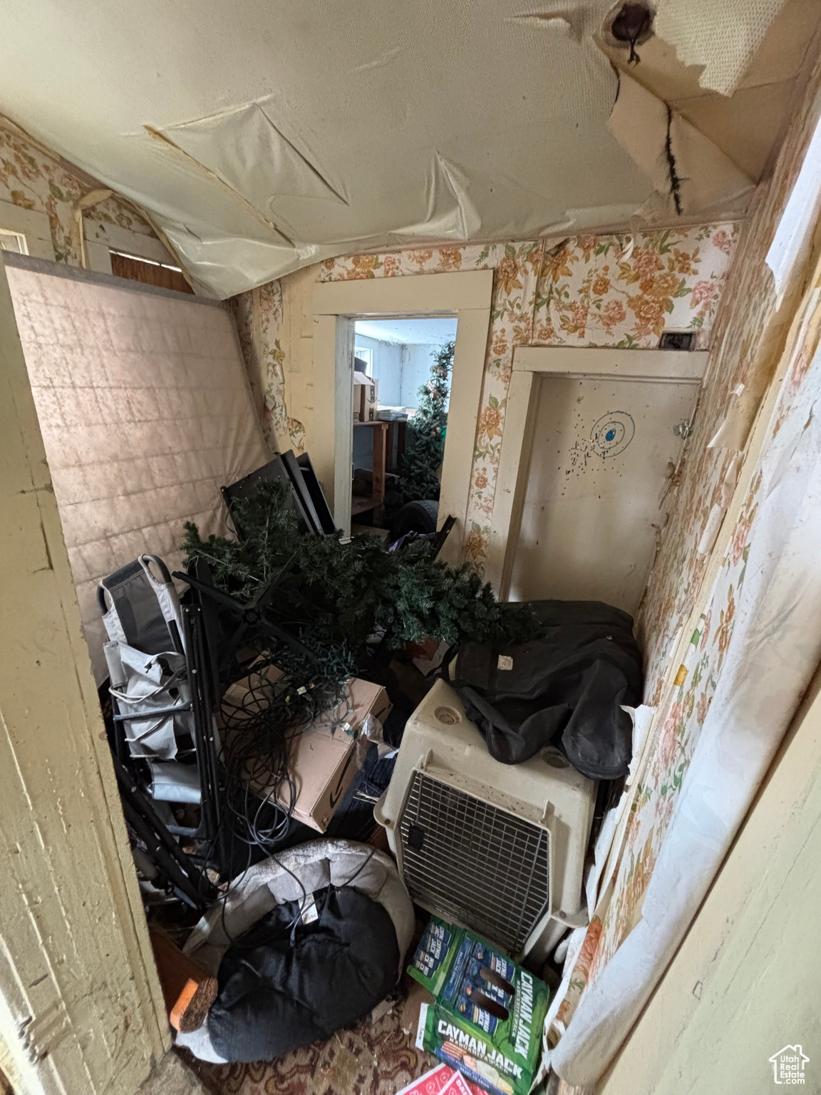 Miscellaneous room with lofted ceiling
