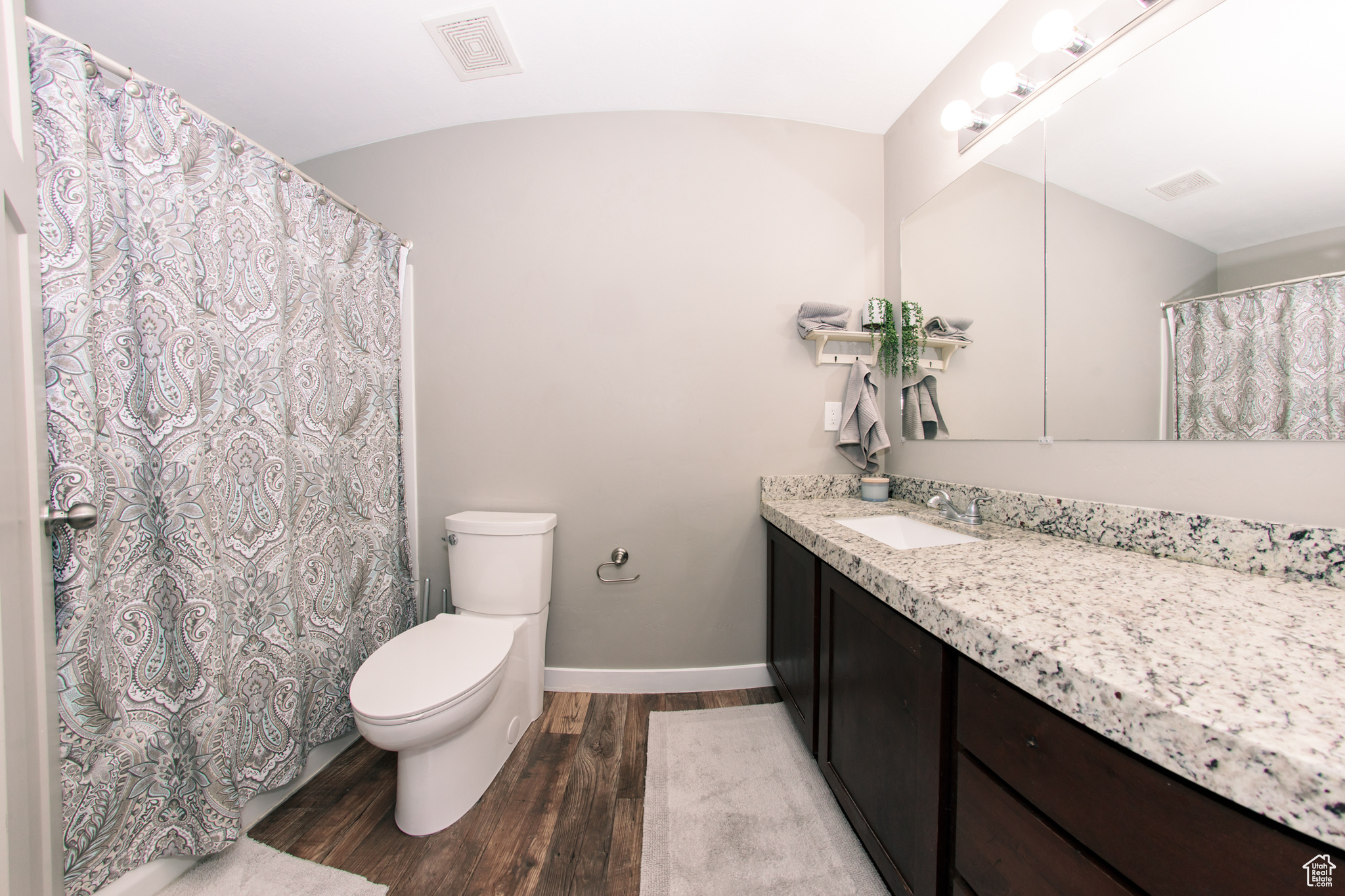 Bathroom with wood-type flooring, lofted ceiling, vanity, and toilet