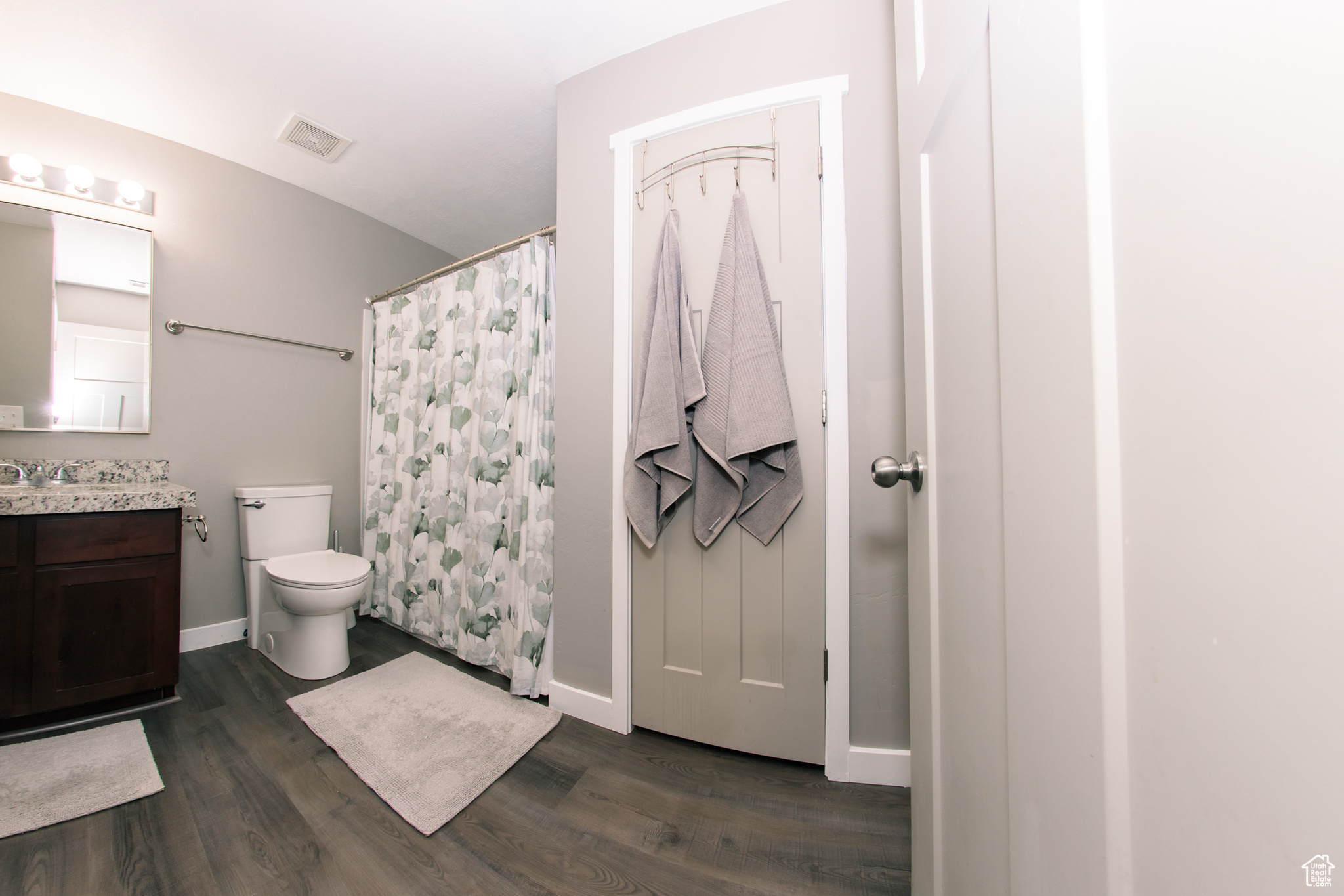 Bathroom featuring vanity, wood-type flooring, toilet, and a shower with shower curtain