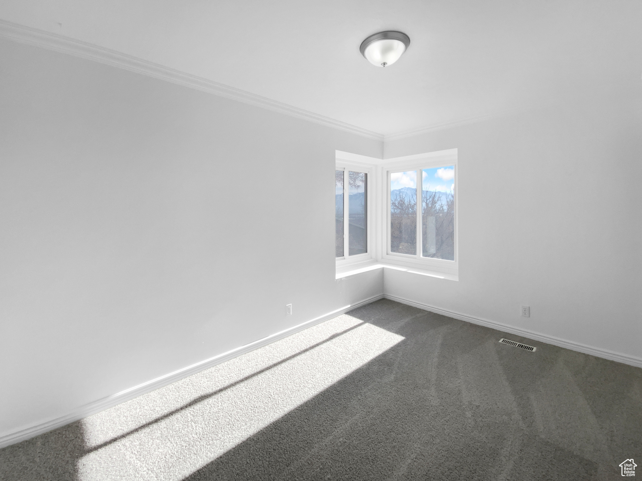 Unfurnished room featuring dark colored carpet and ornamental molding