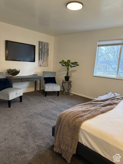 Carpeted bedroom with baseboards
