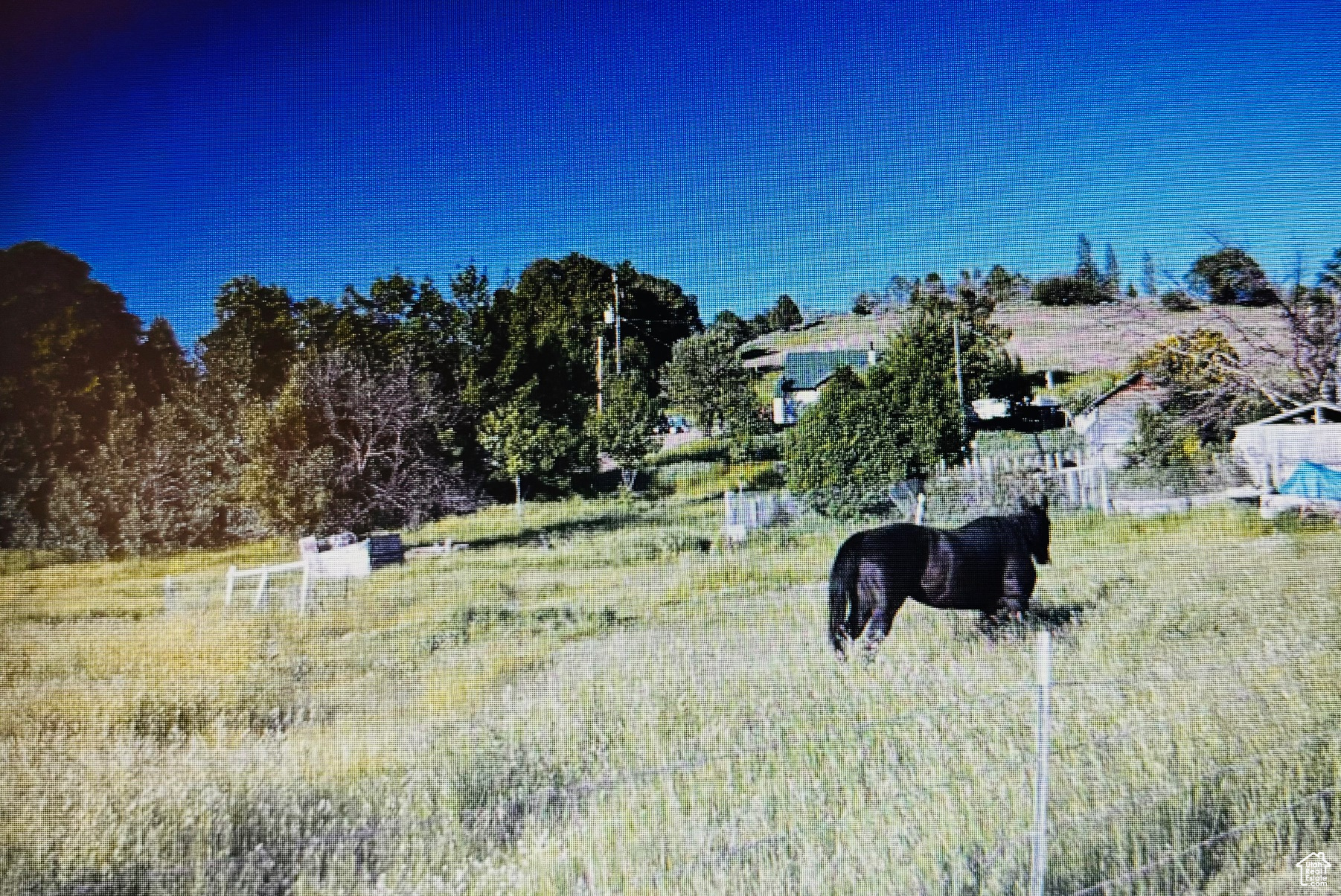 View of yard with a rural view