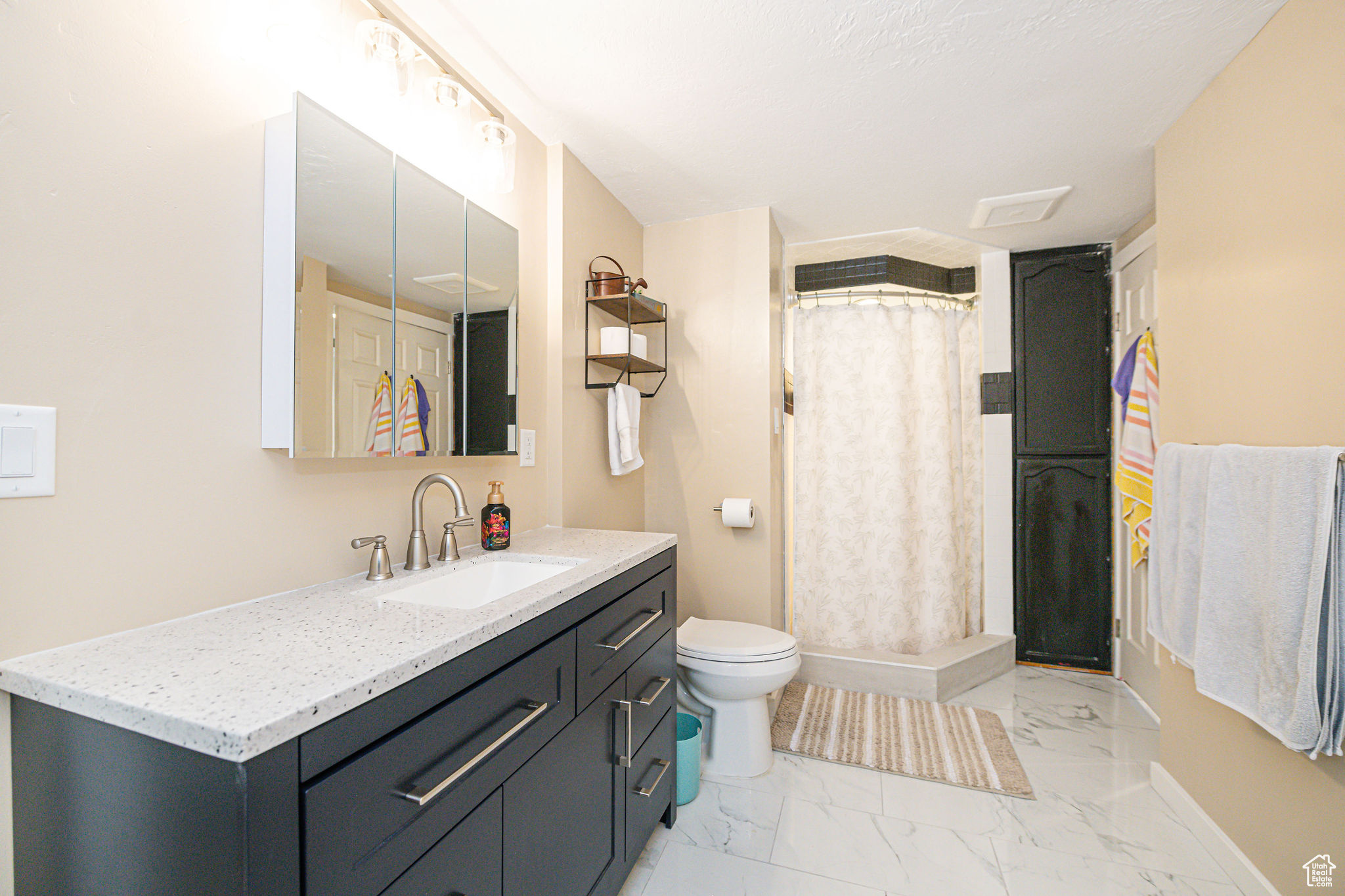 Bathroom featuring vanity, walk in shower, and toilet