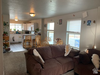 Carpeted living room with plenty of natural light and a textured ceiling