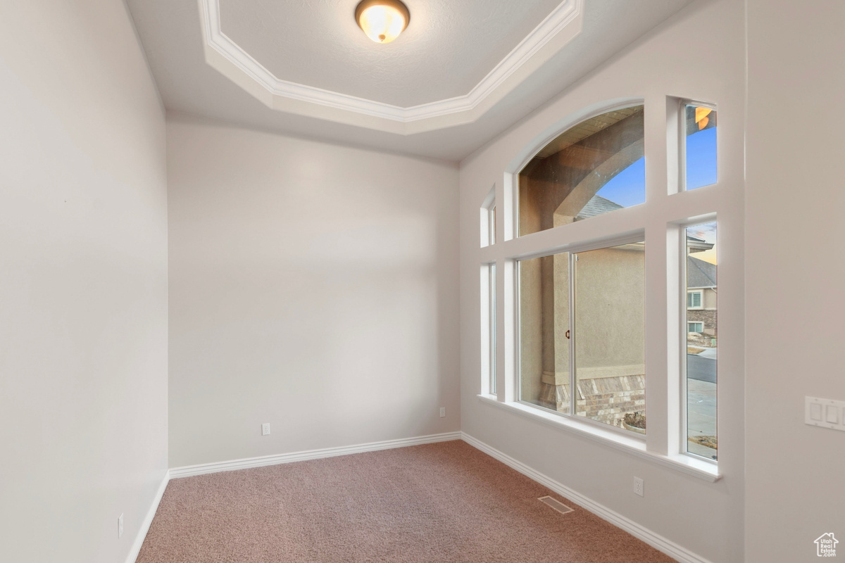 Spare room with crown molding, a tray ceiling, plenty of natural light, and carpet flooring