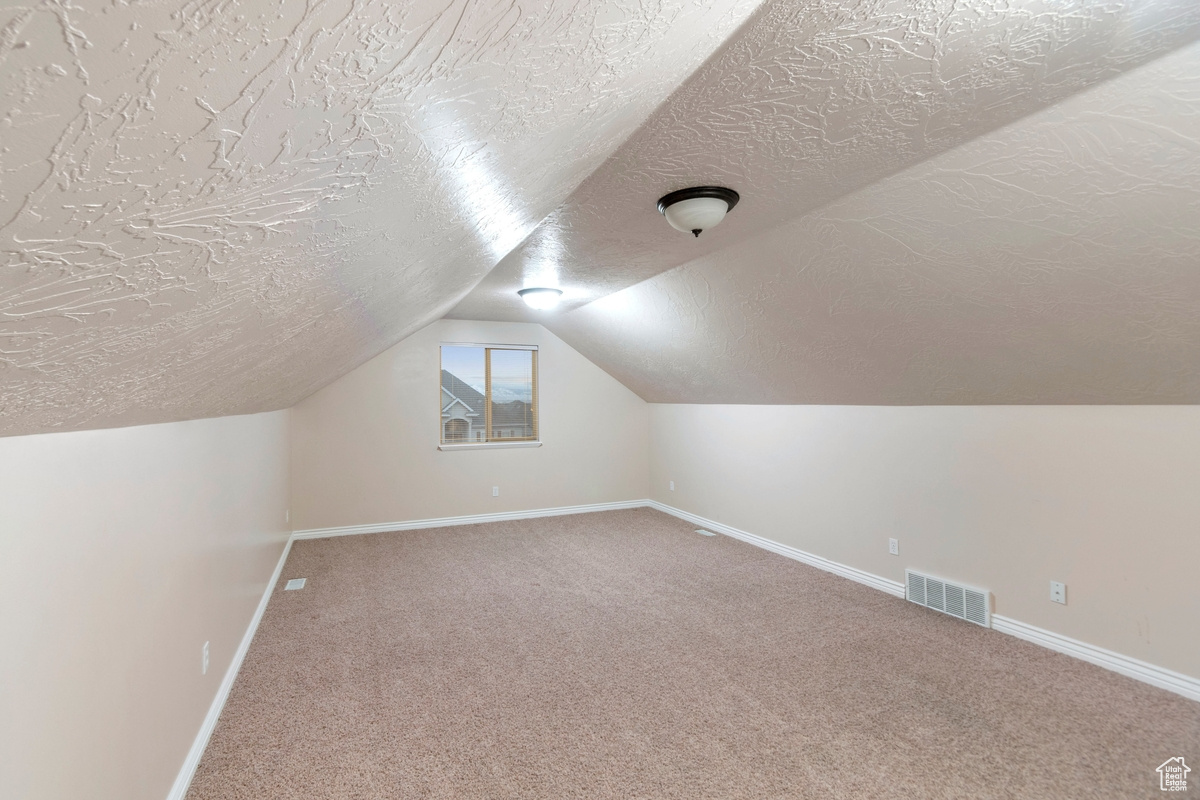 Additional living space with lofted ceiling, carpet floors, and a textured ceiling