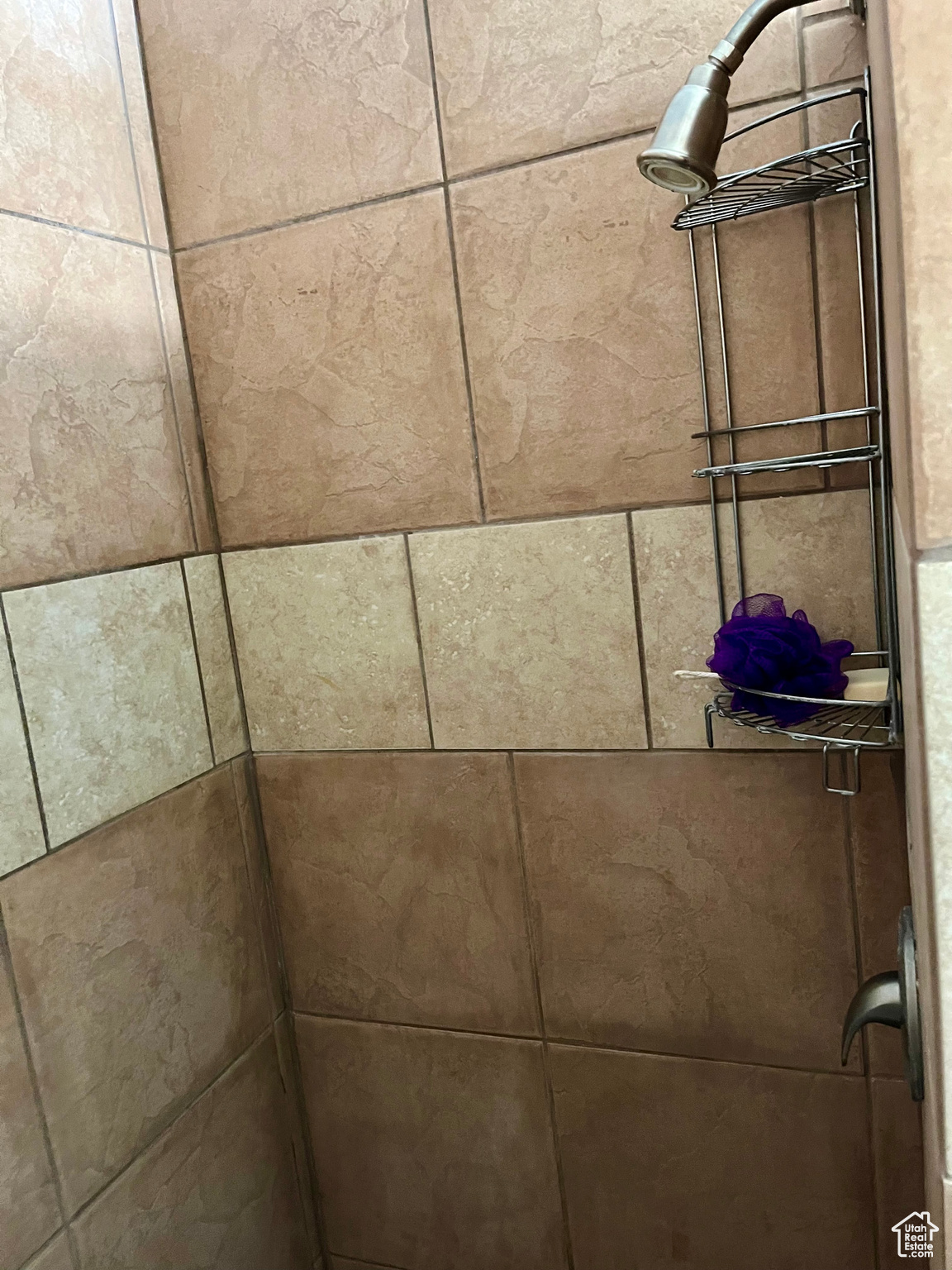 Details with tiled shower