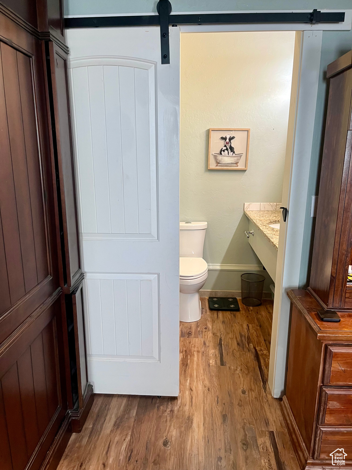 Bathroom with vanity, toilet, and hardwood / wood-style floors