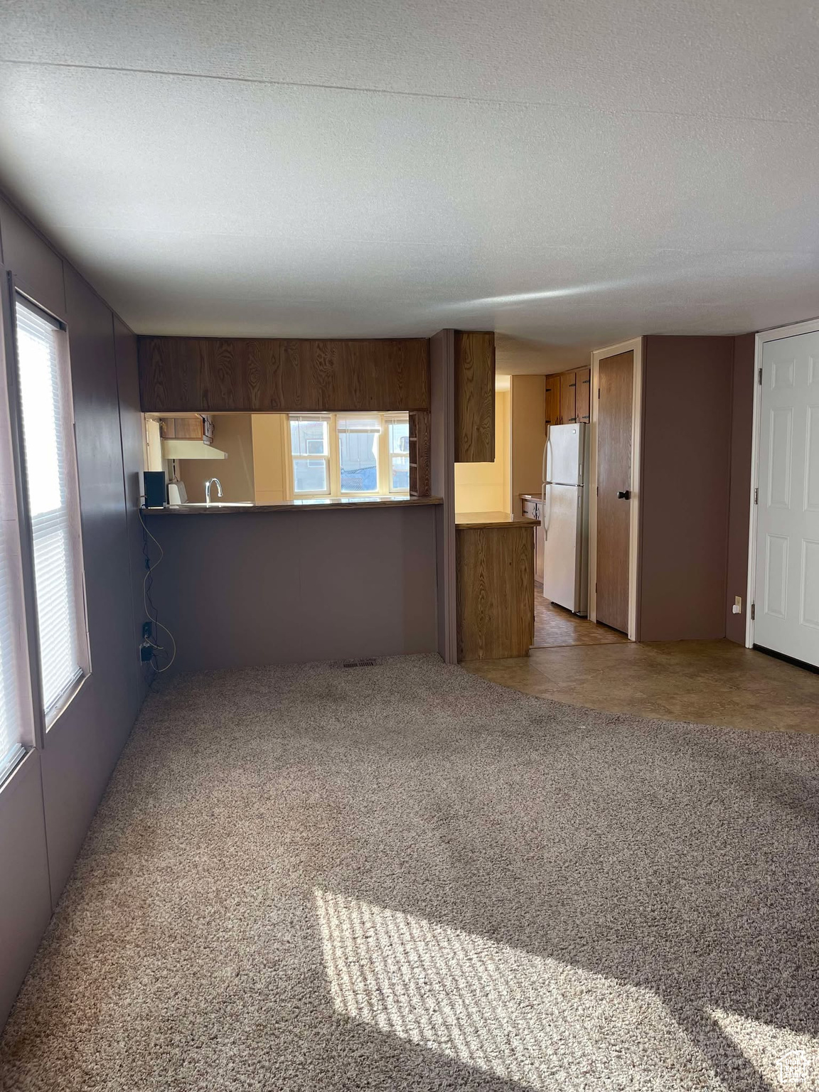 Unfurnished living room featuring light carpet and a textured ceiling