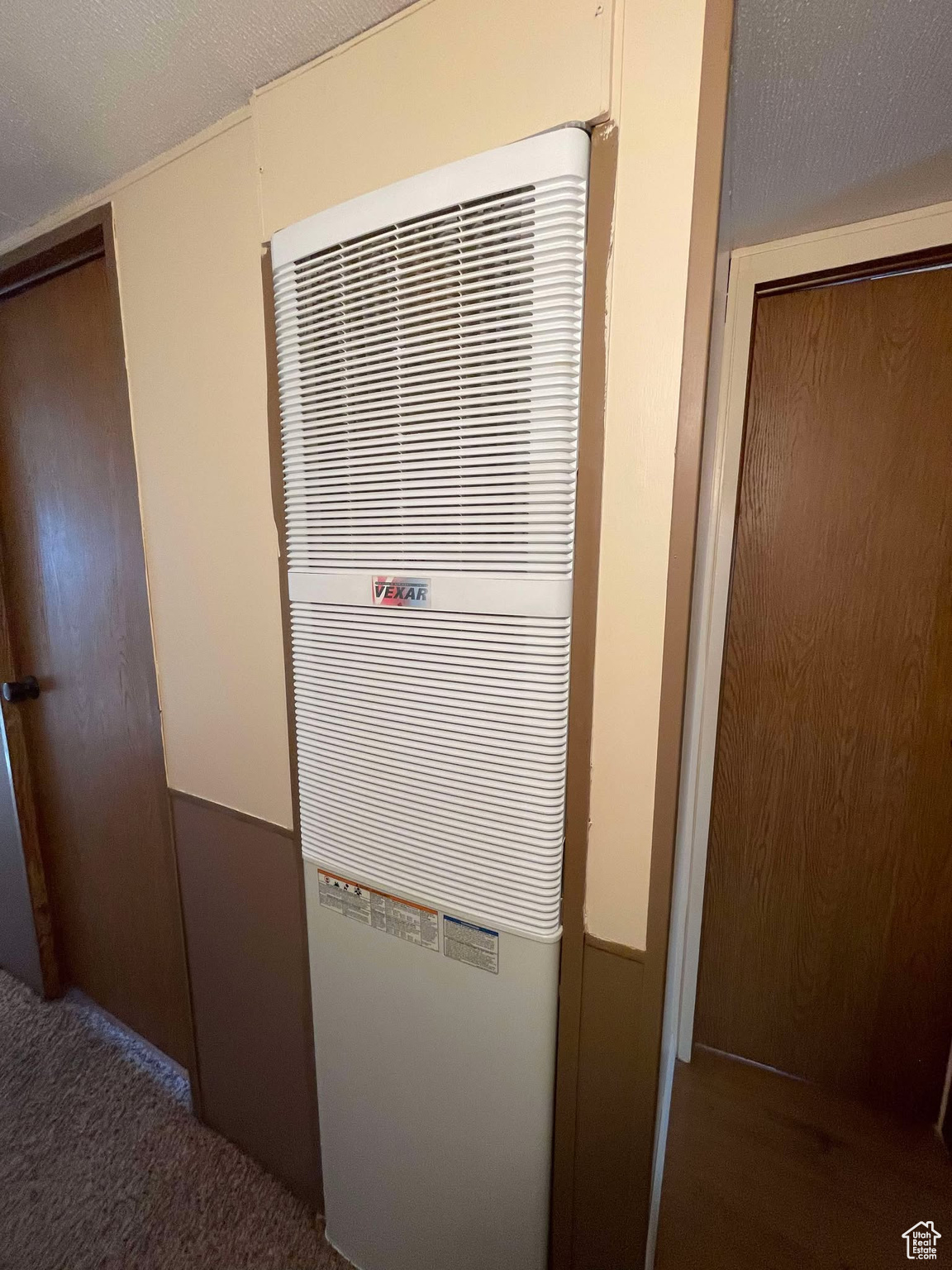 Details featuring carpet flooring and a textured ceiling