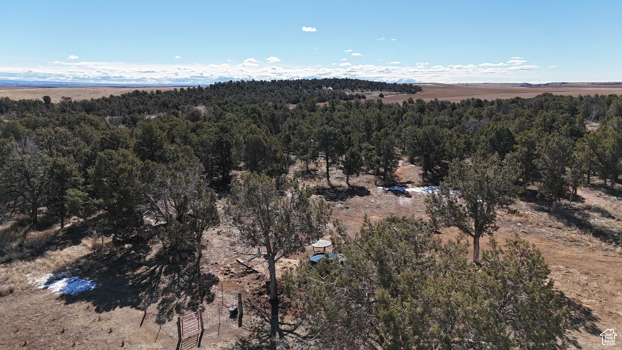 Bird's eye view featuring a forest view