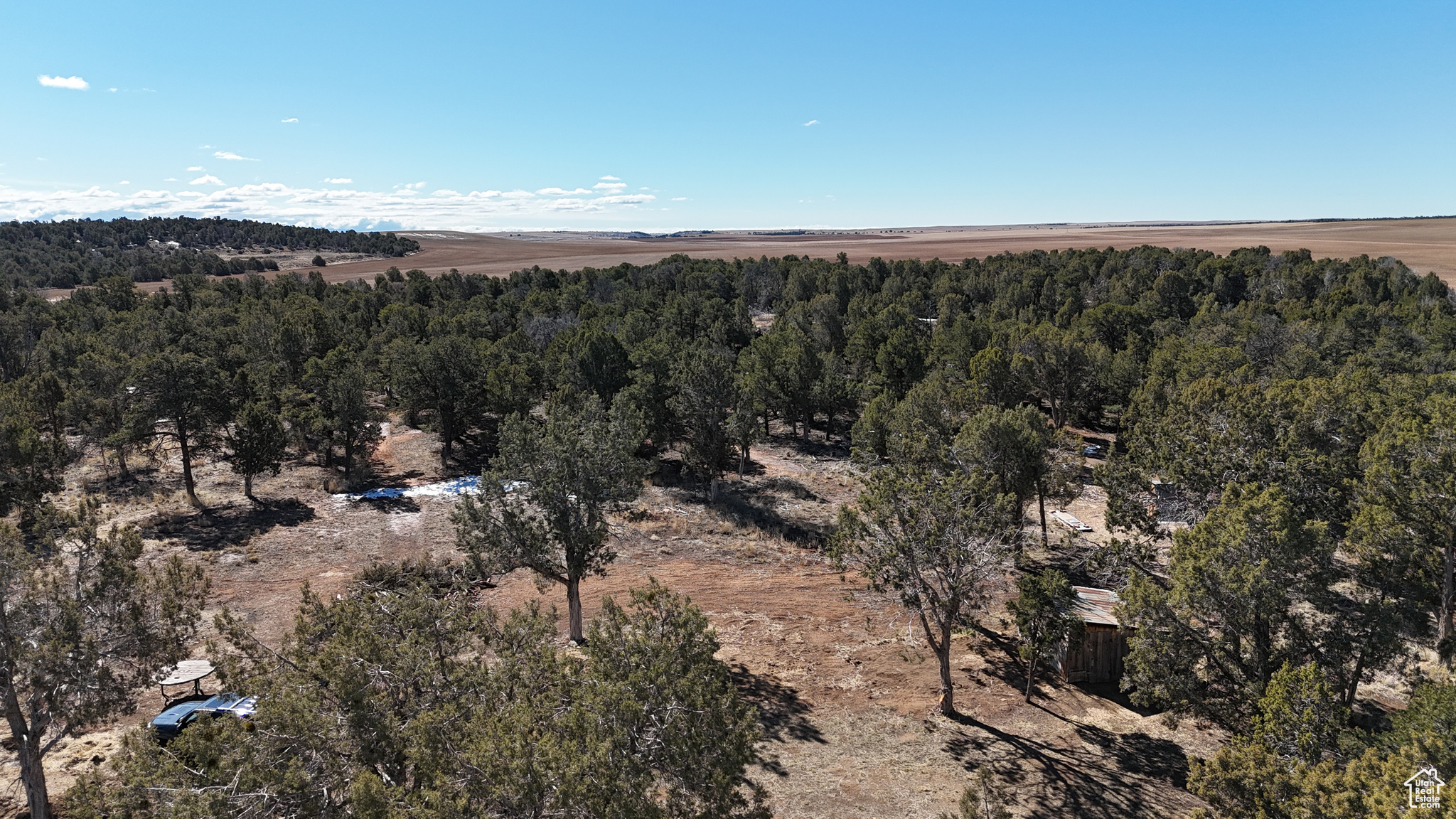 Bird's eye view featuring a wooded view