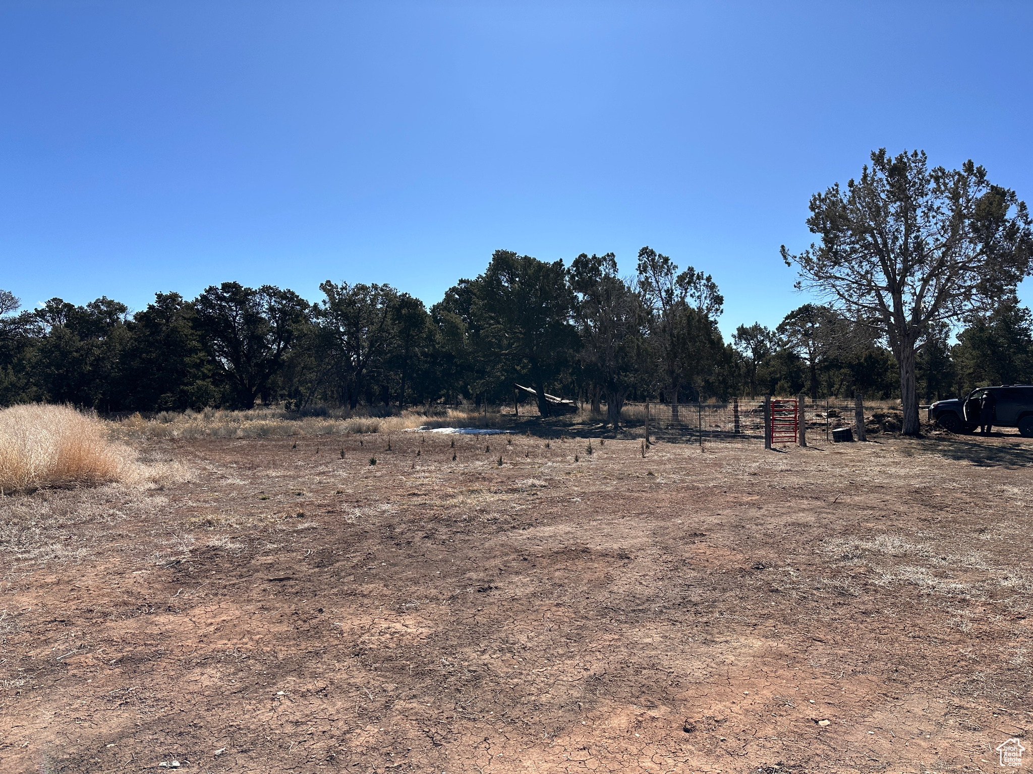 View of local wilderness with a rural view