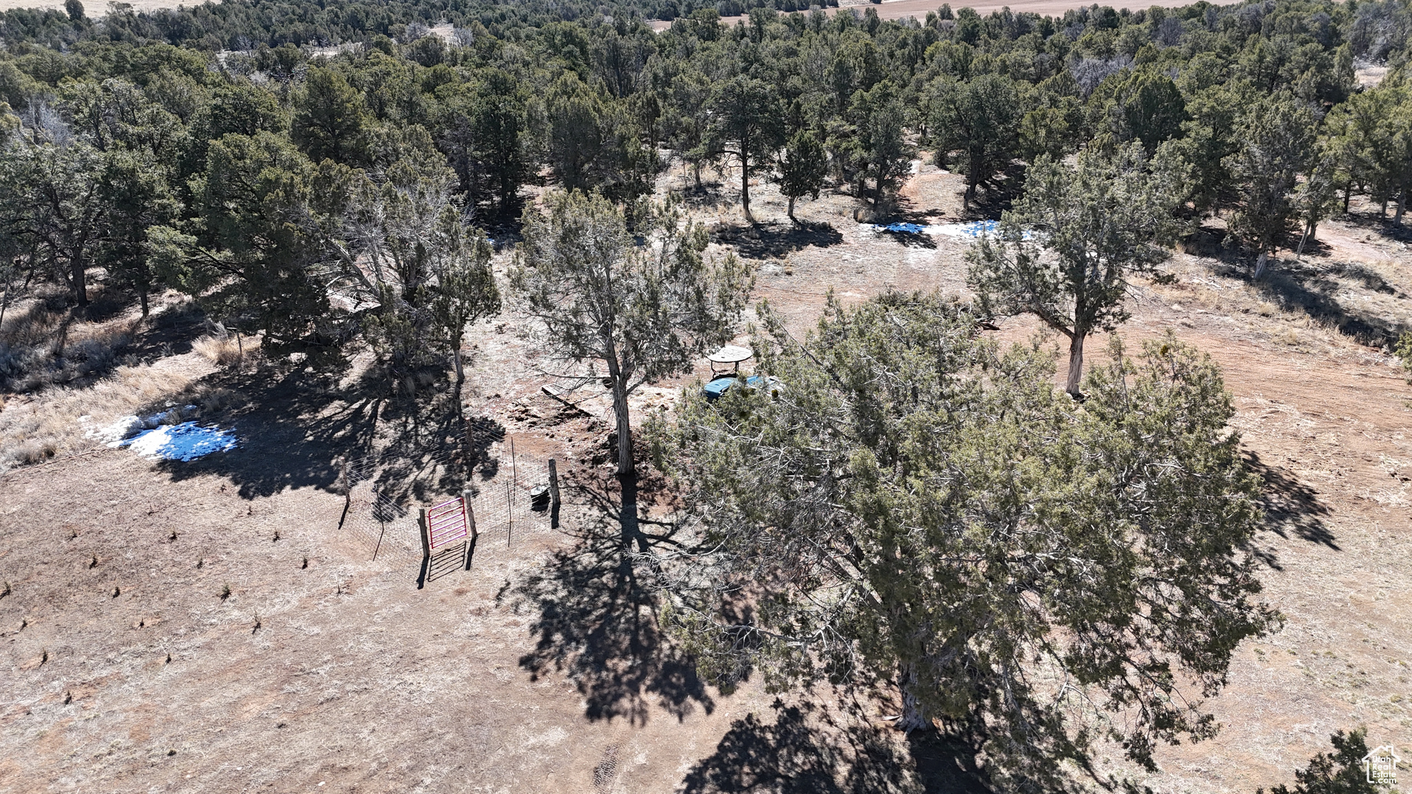 Aerial view with a wooded view