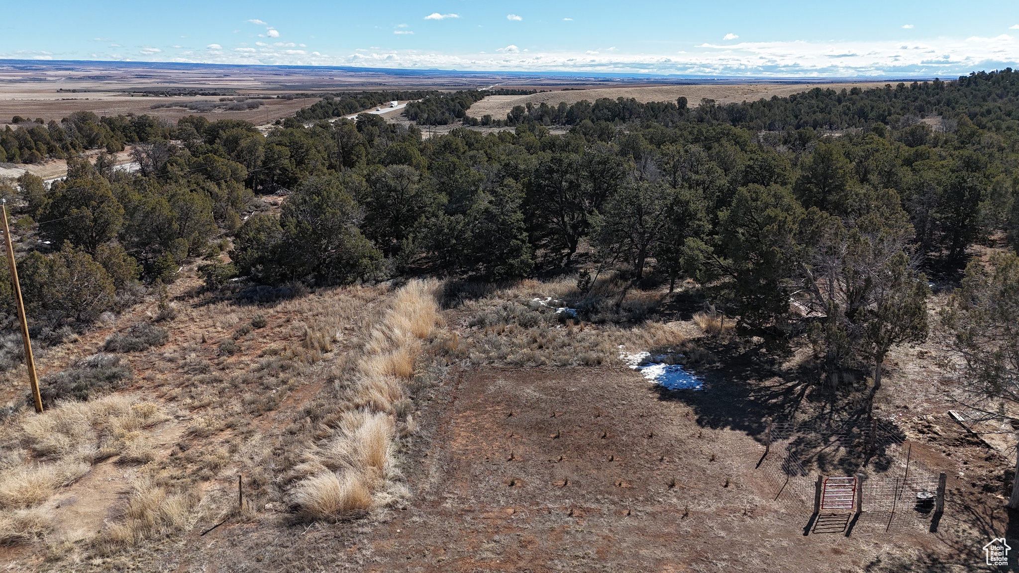 Bird's eye view featuring a wooded view
