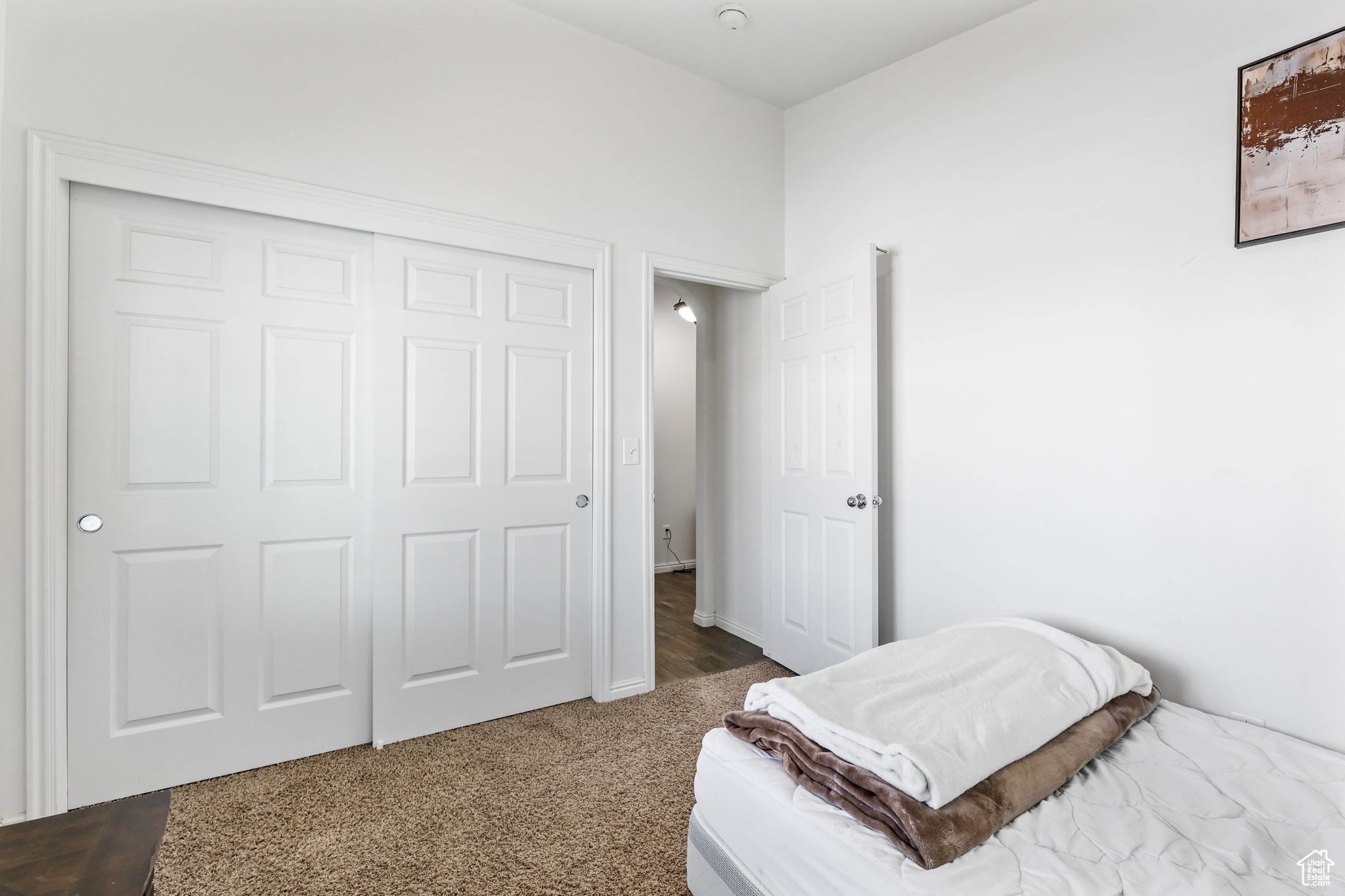 Carpeted bedroom featuring a closet