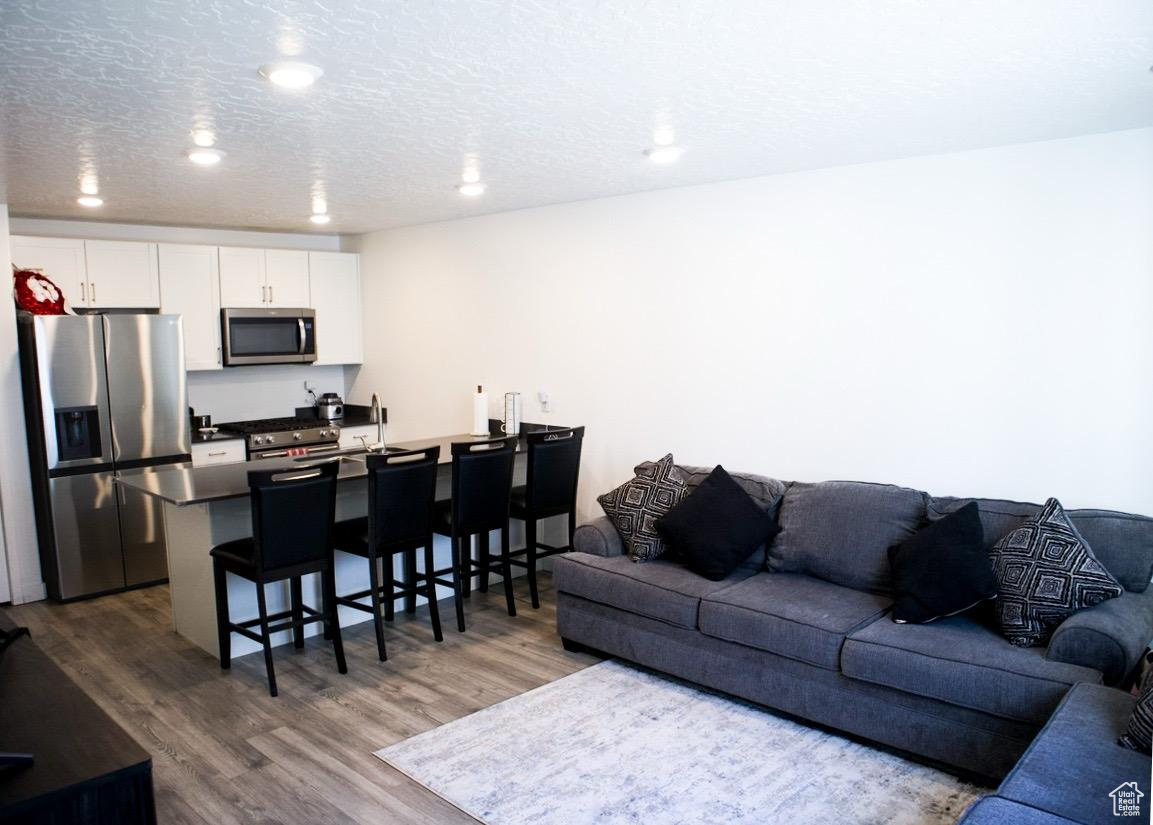 Living room with sink, dark hardwood / wood-style floors, and a textured ceiling