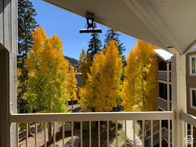 View from balcony