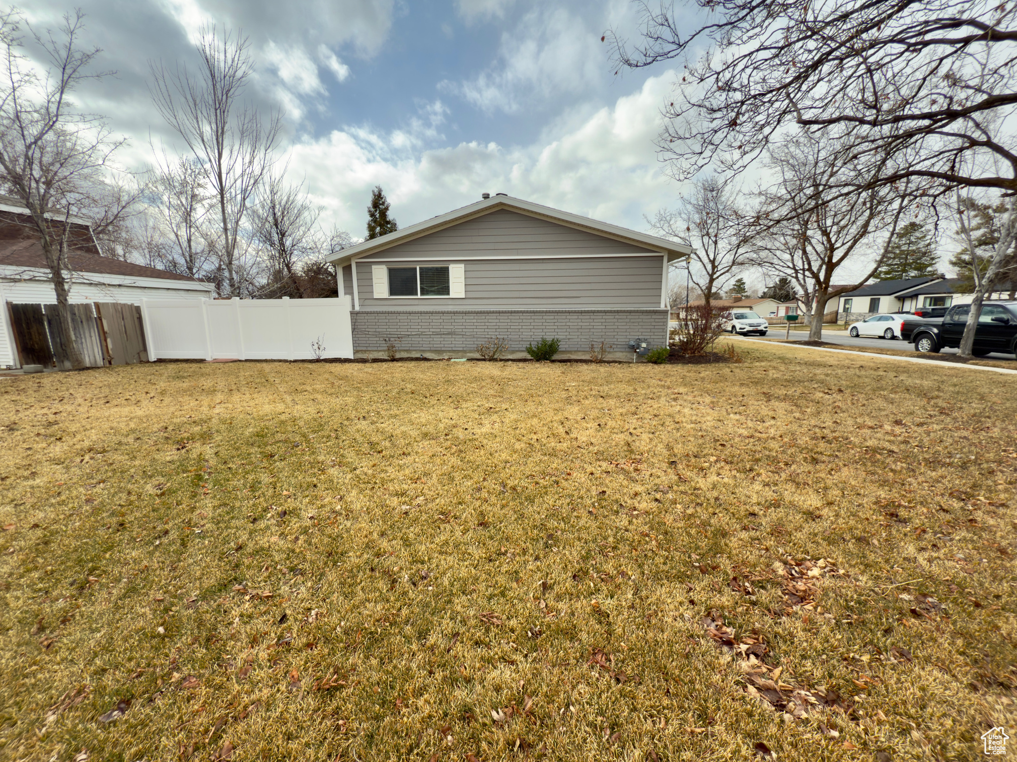 Large side yard with new Kentucky Blue Grass