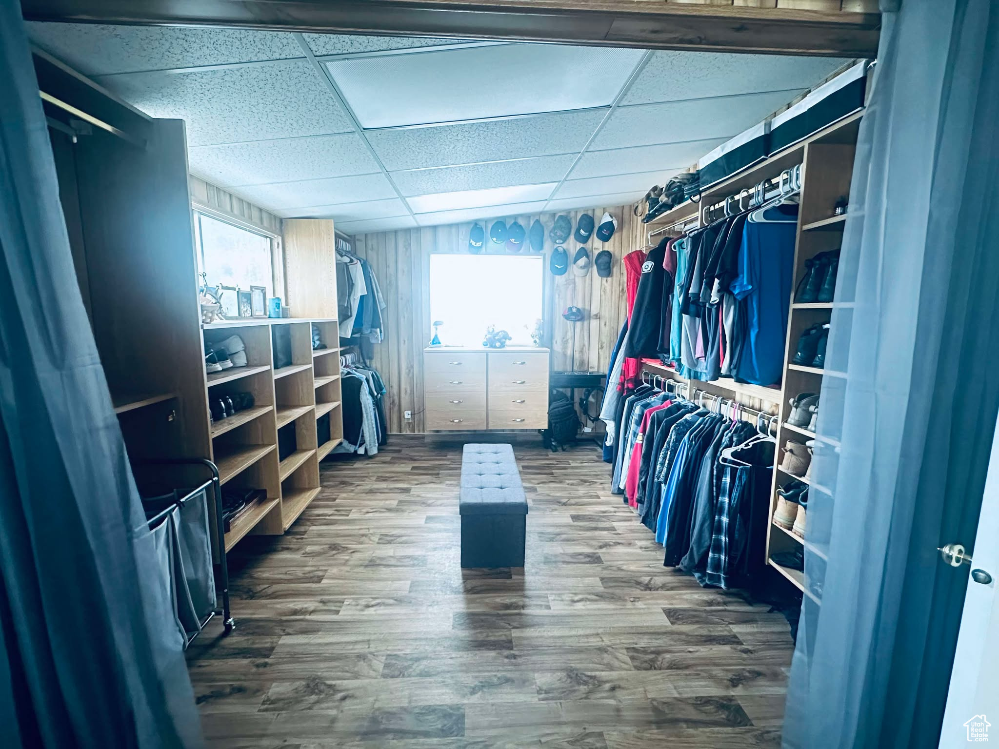 Master Spacious closet featuring hardwood / wood-style floors and a drop ceiling