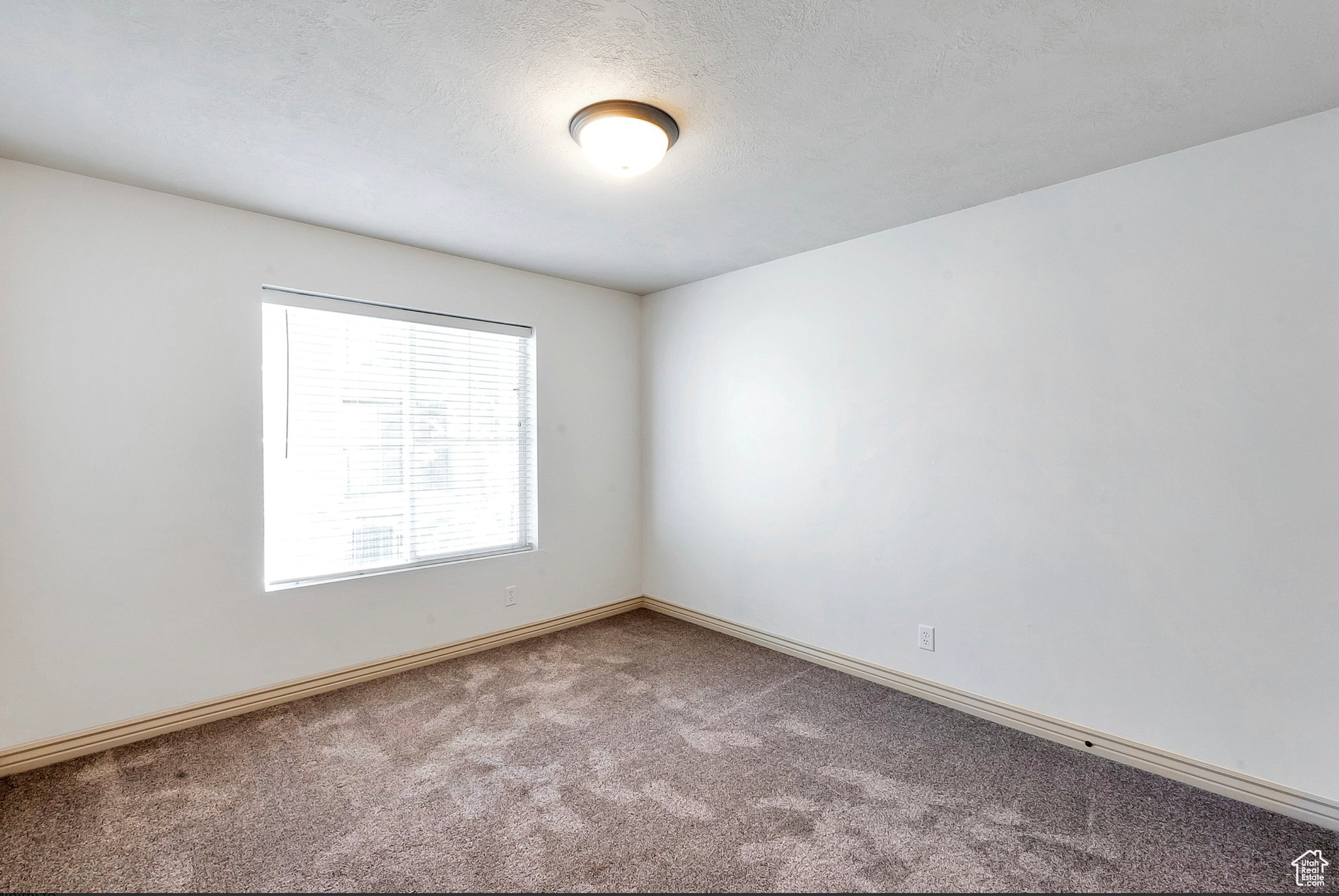 Empty room featuring carpet and a textured ceiling