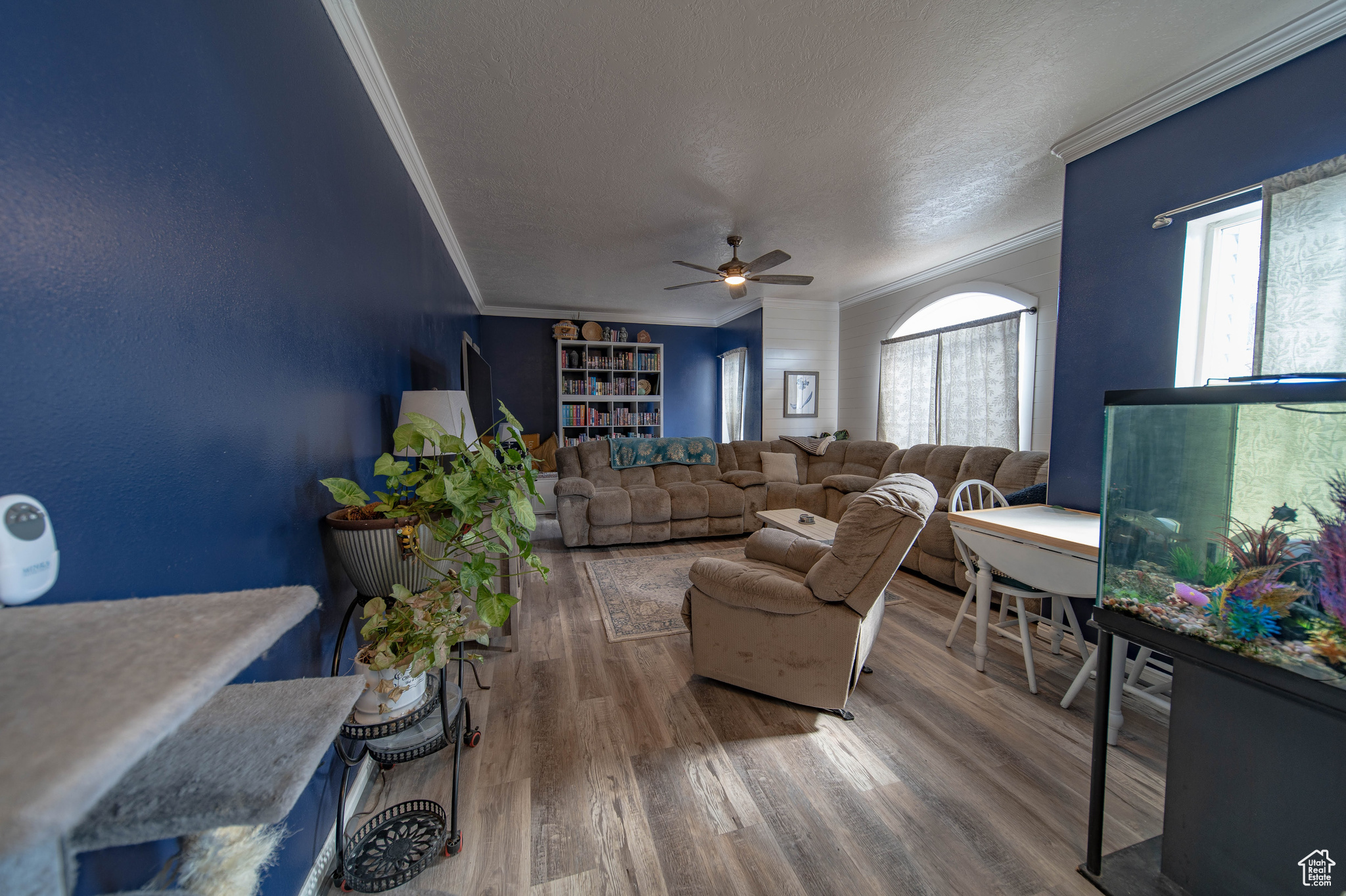 Living room featuring ceiling fan, hardwood / wood-style flooring, crown molding, and a textured ceiling