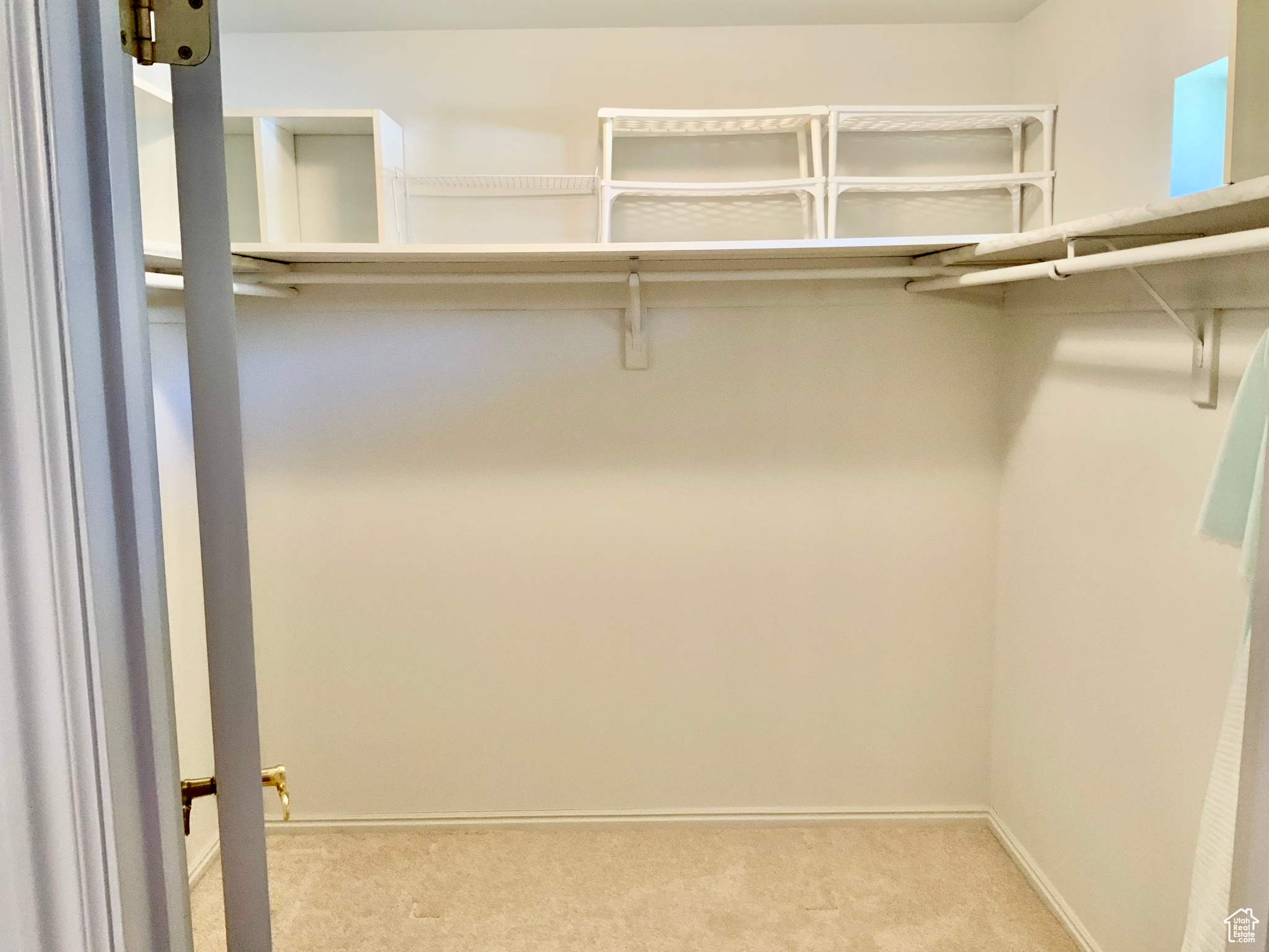 Walk in closet featuring light colored carpet