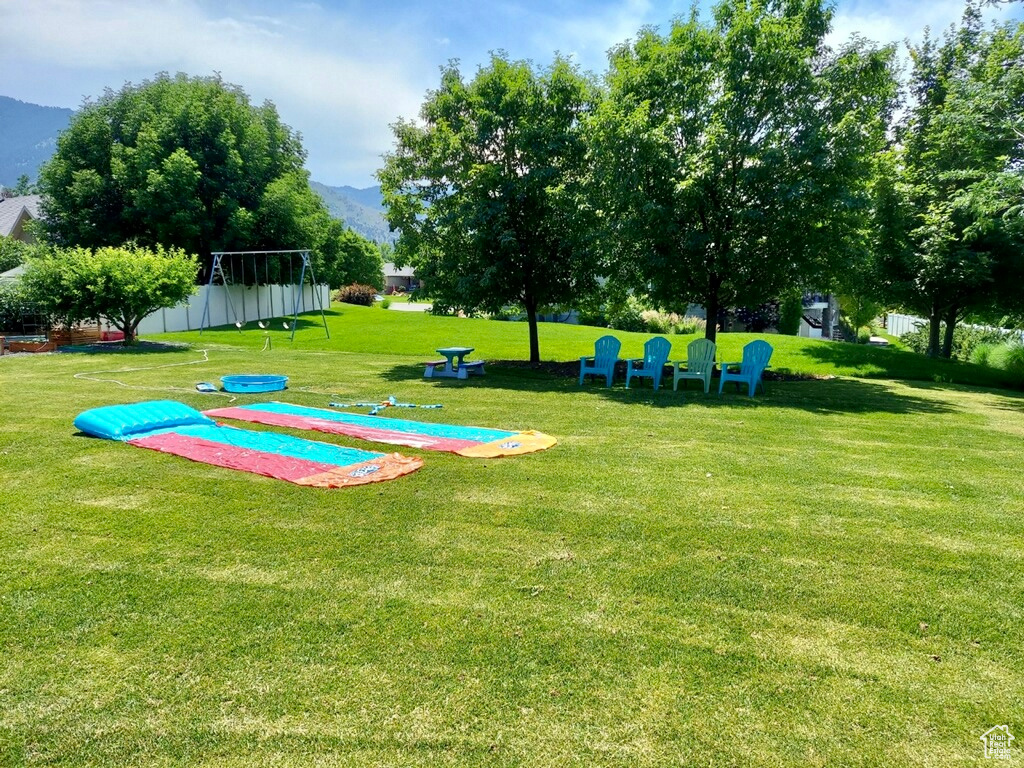 View of backyard during the summer